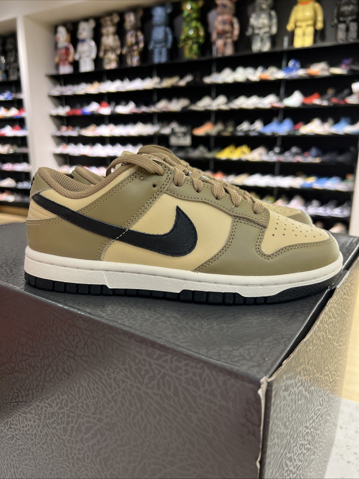 NIKE DUNK LOW DARK DRIFTWOOD BROWN-BLACK-SESAME-SAIL