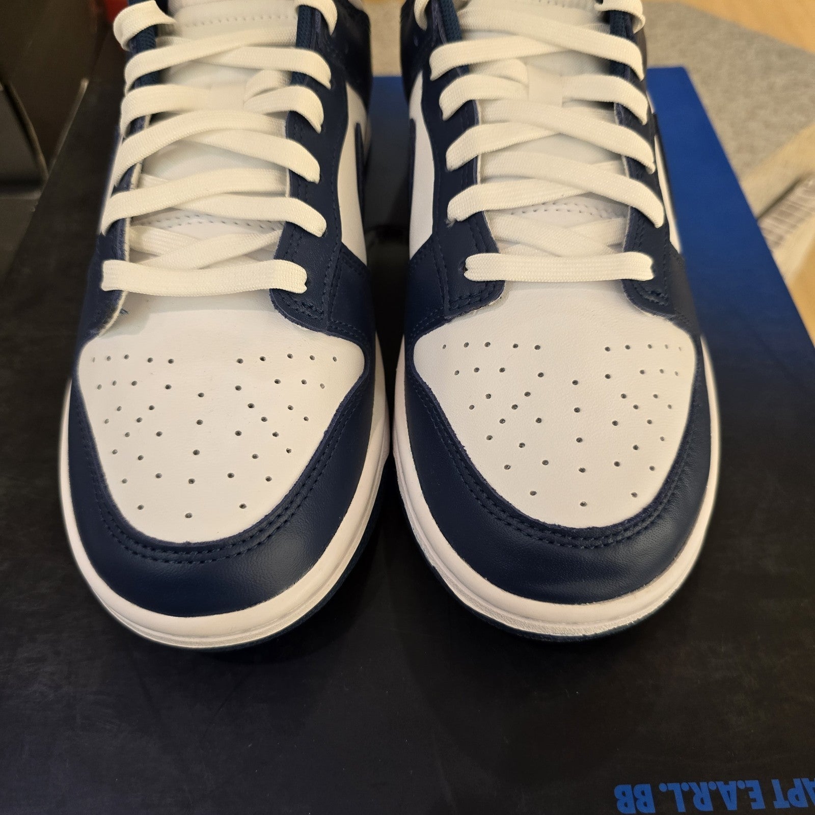 Size 8.5 - Nike Dunk Low Velarian Blue White