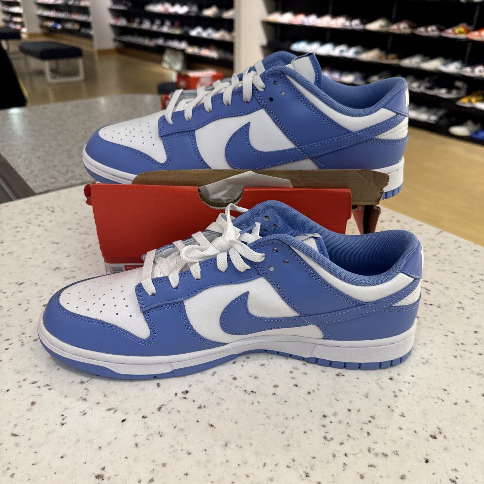 Size 13 - Nike Dunk Low Polar Blue