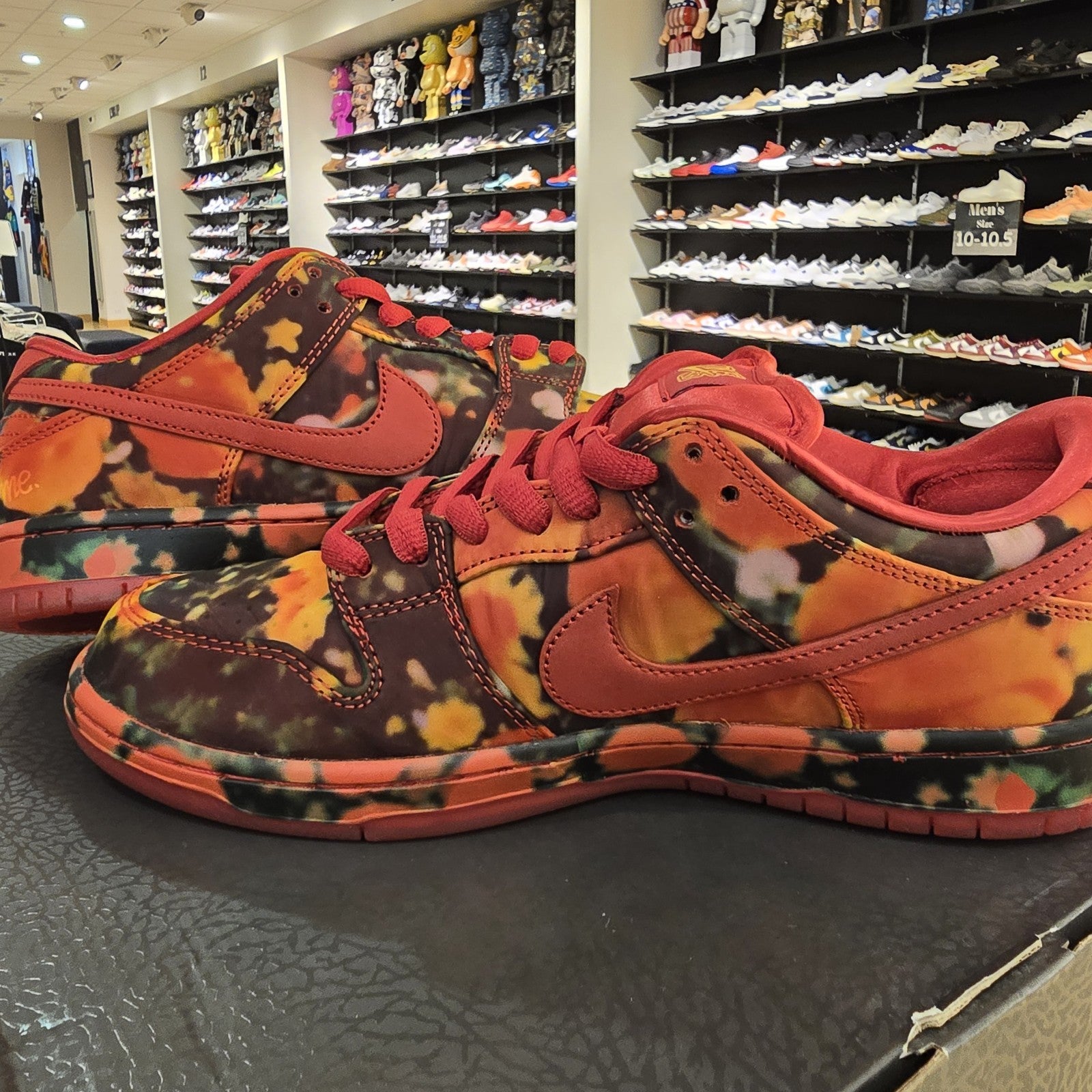 Size 9.5 - Nike The Wizard of Oz x Dunk SB Low Poppy Field