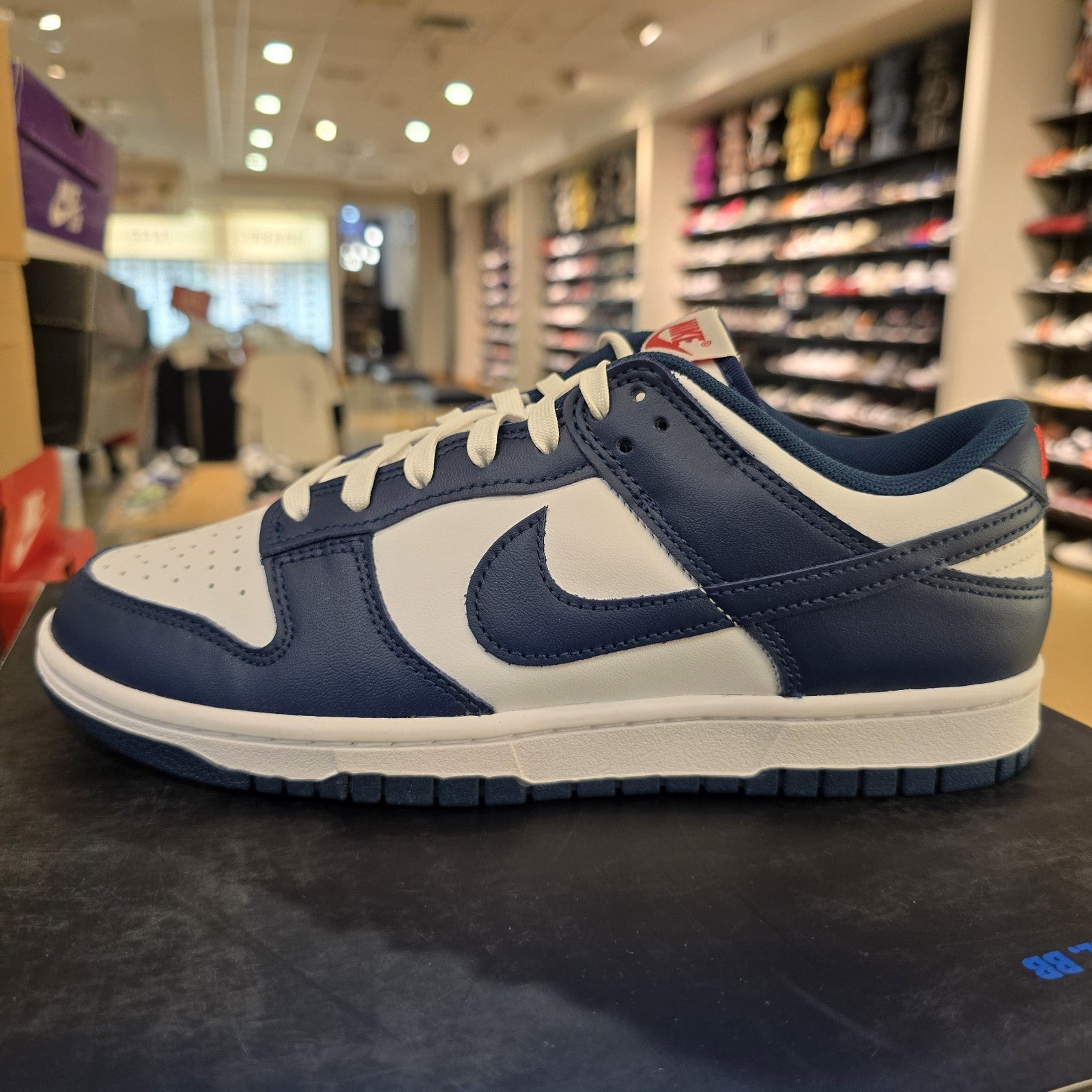 Size 8.5 - Nike Dunk Low Velarian Blue White