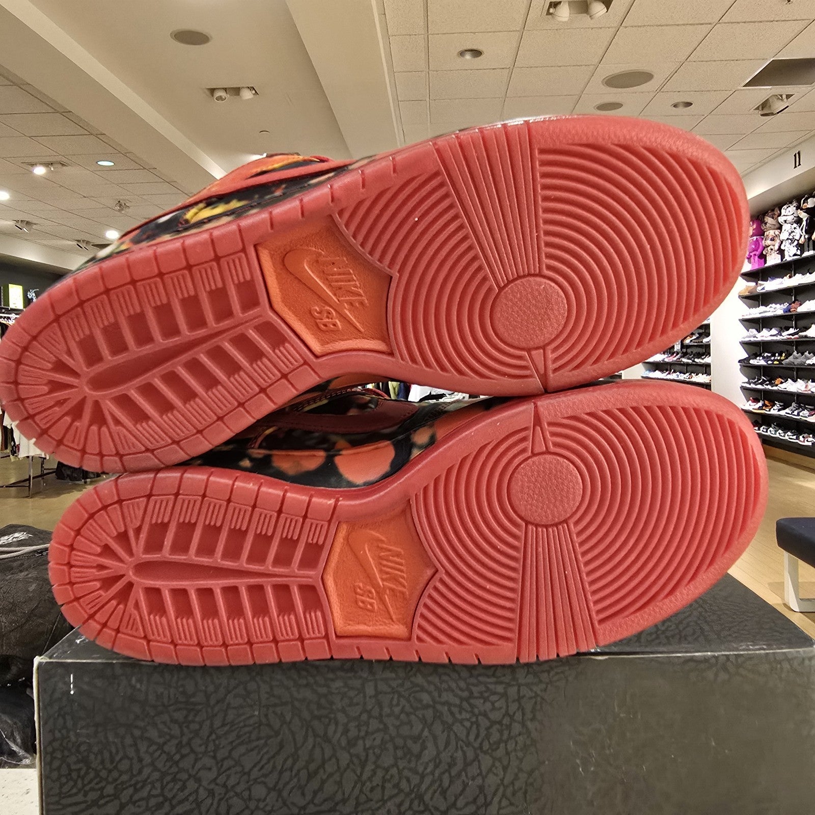 Size 9.5 - Nike The Wizard of Oz x Dunk SB Low Poppy Field