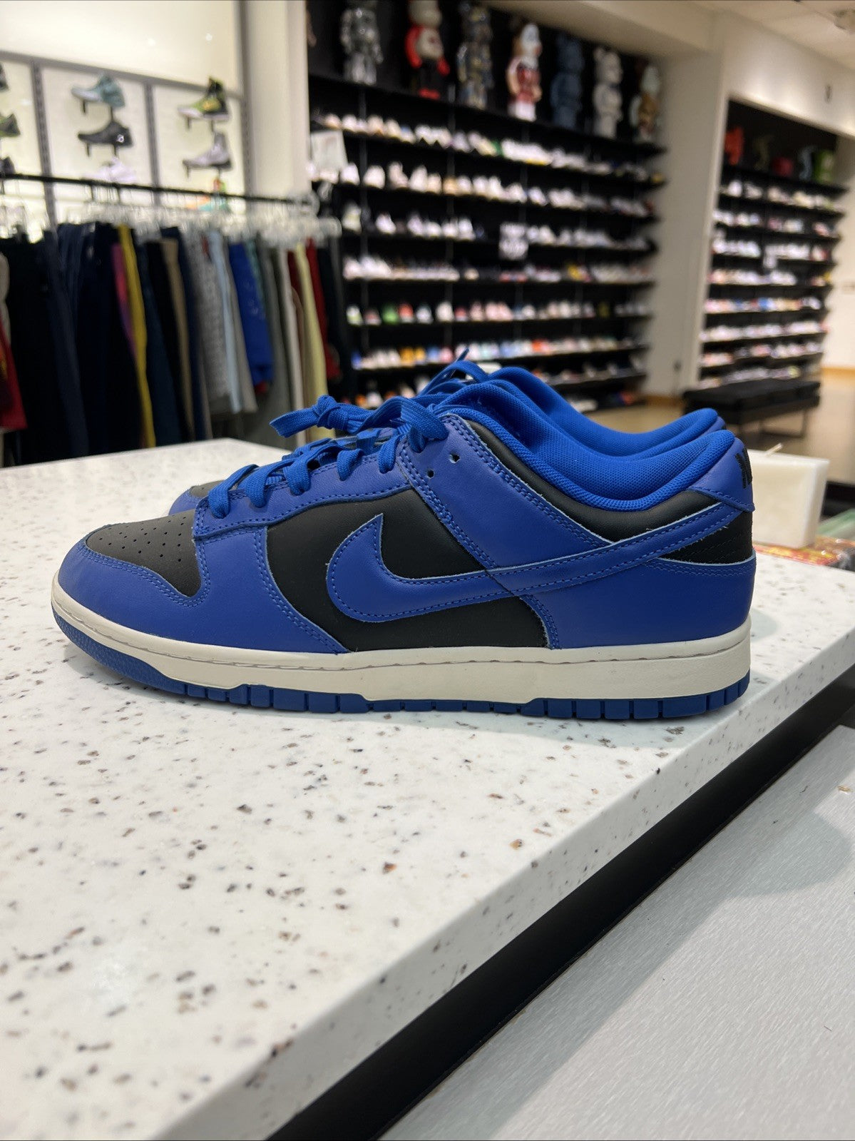 dunk low cobalt on feet