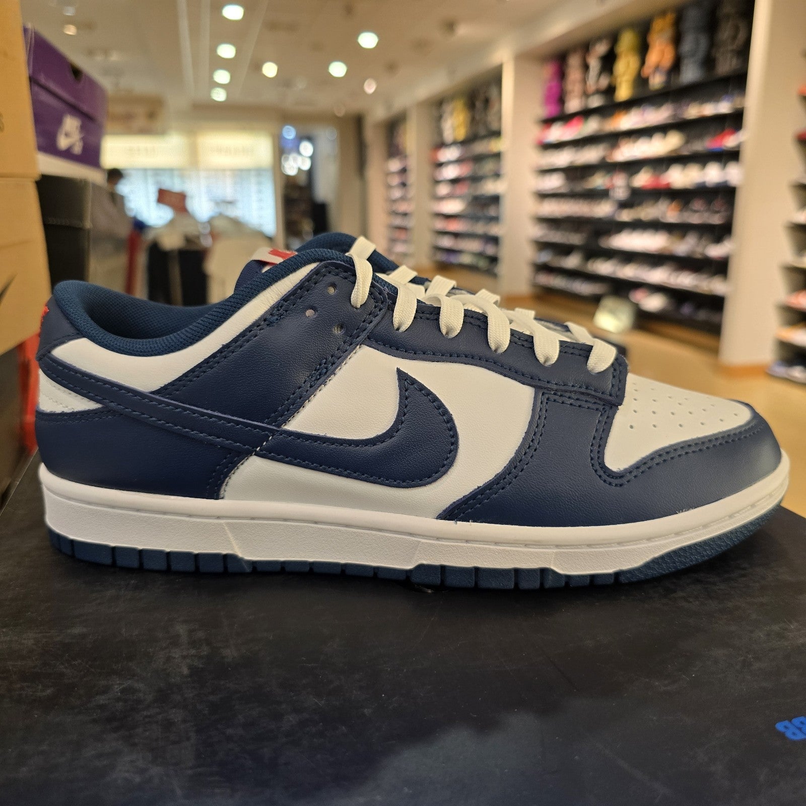 Size 8.5 - Nike Dunk Low Velarian Blue White