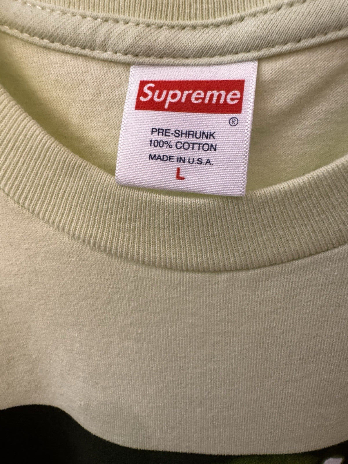 Supreme Chris Cunningham Chihuahua Tee Pale Mint Size L