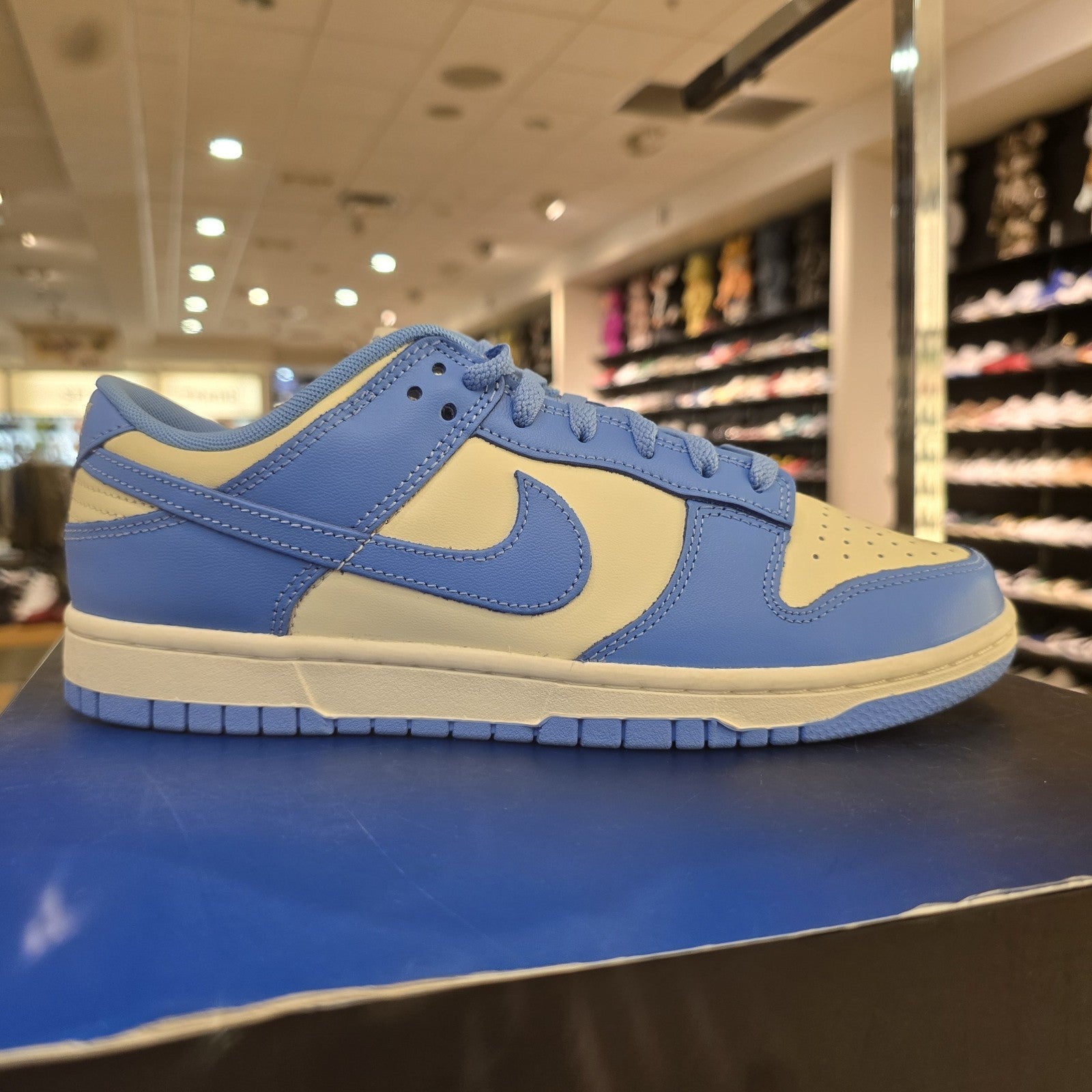 Nike Dunk Low University Blue Coconut Milk SZ 8.5