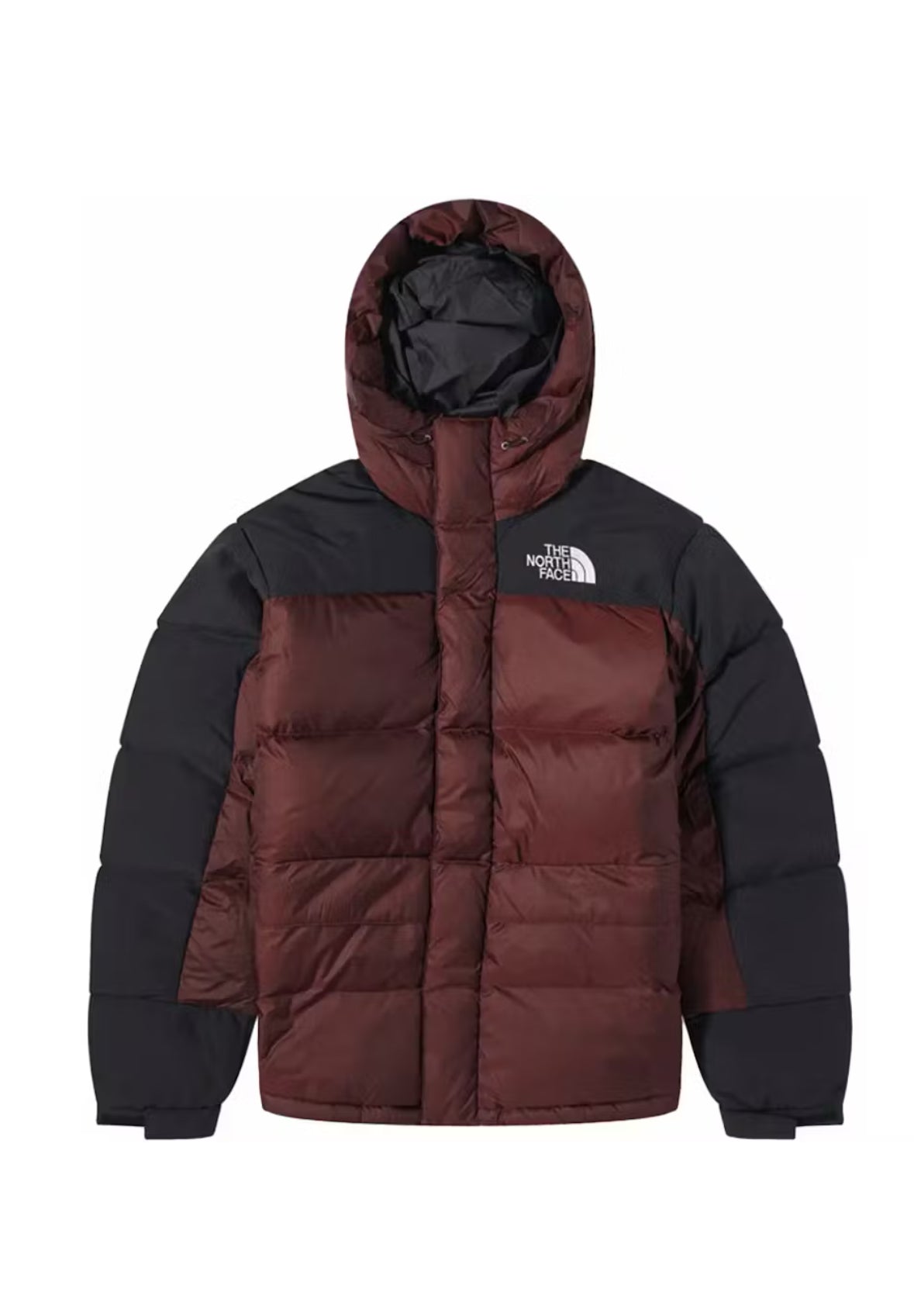 North Face HMLYN Down Coal Brown Sz XS