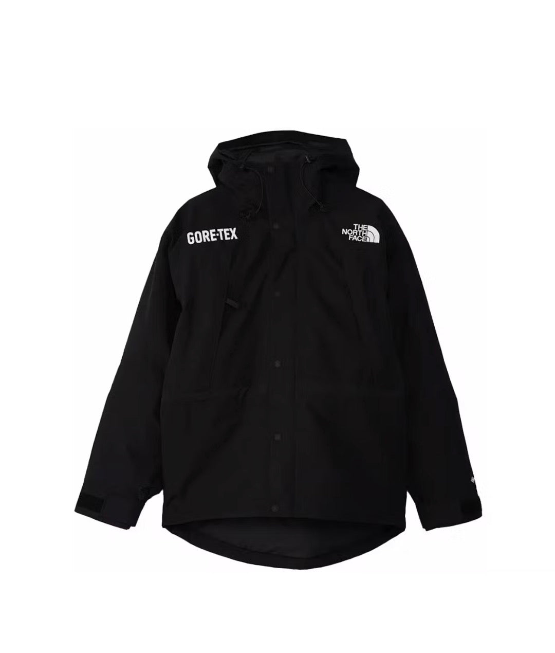 The North Face GTX Mountain Insulated Parka Sz Small