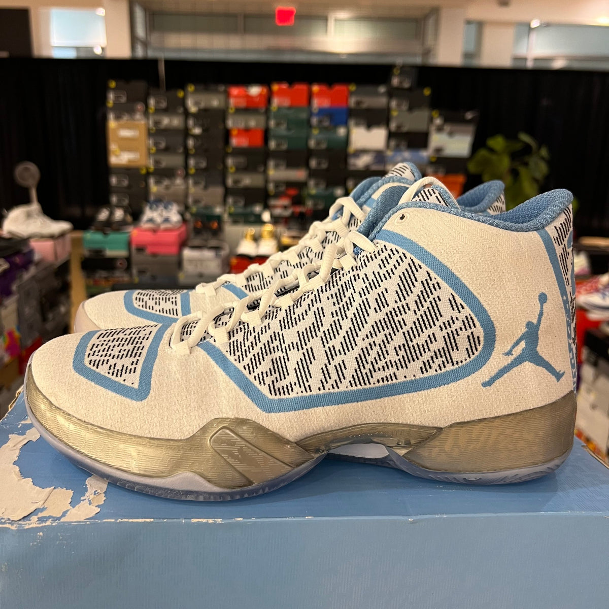 Jordan XX9 Pantone used missing lid