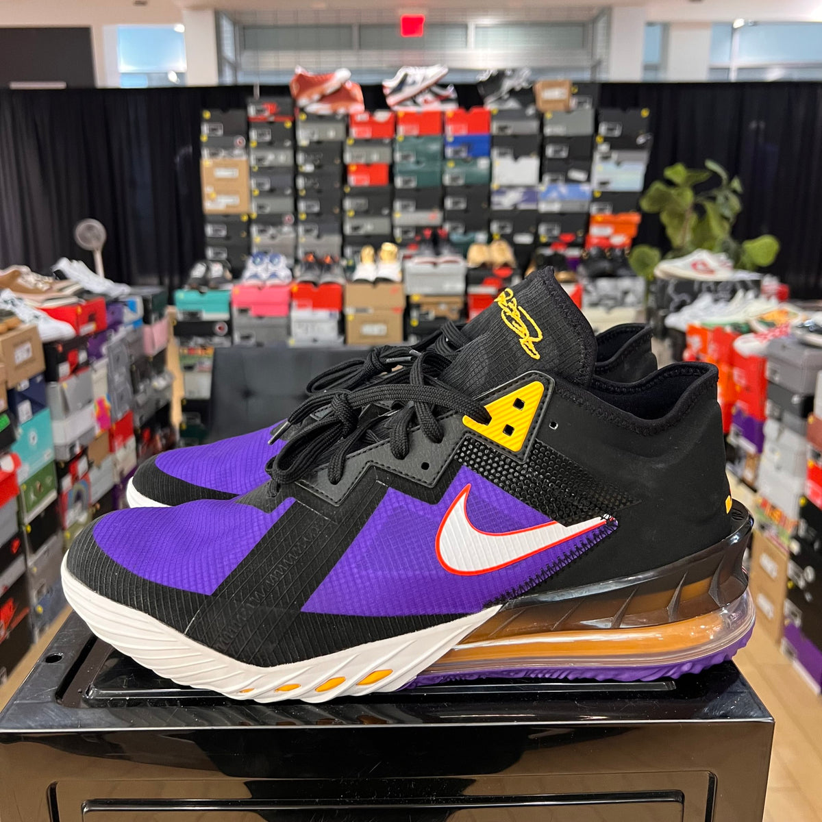Nike LeBron 18 Low ACG Terra No box