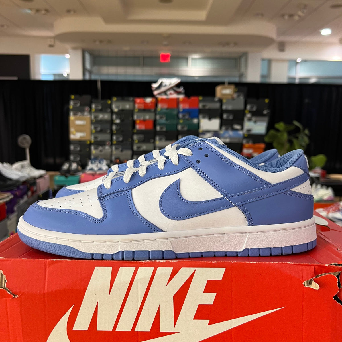 Nike Dunk Low Polar Blue used