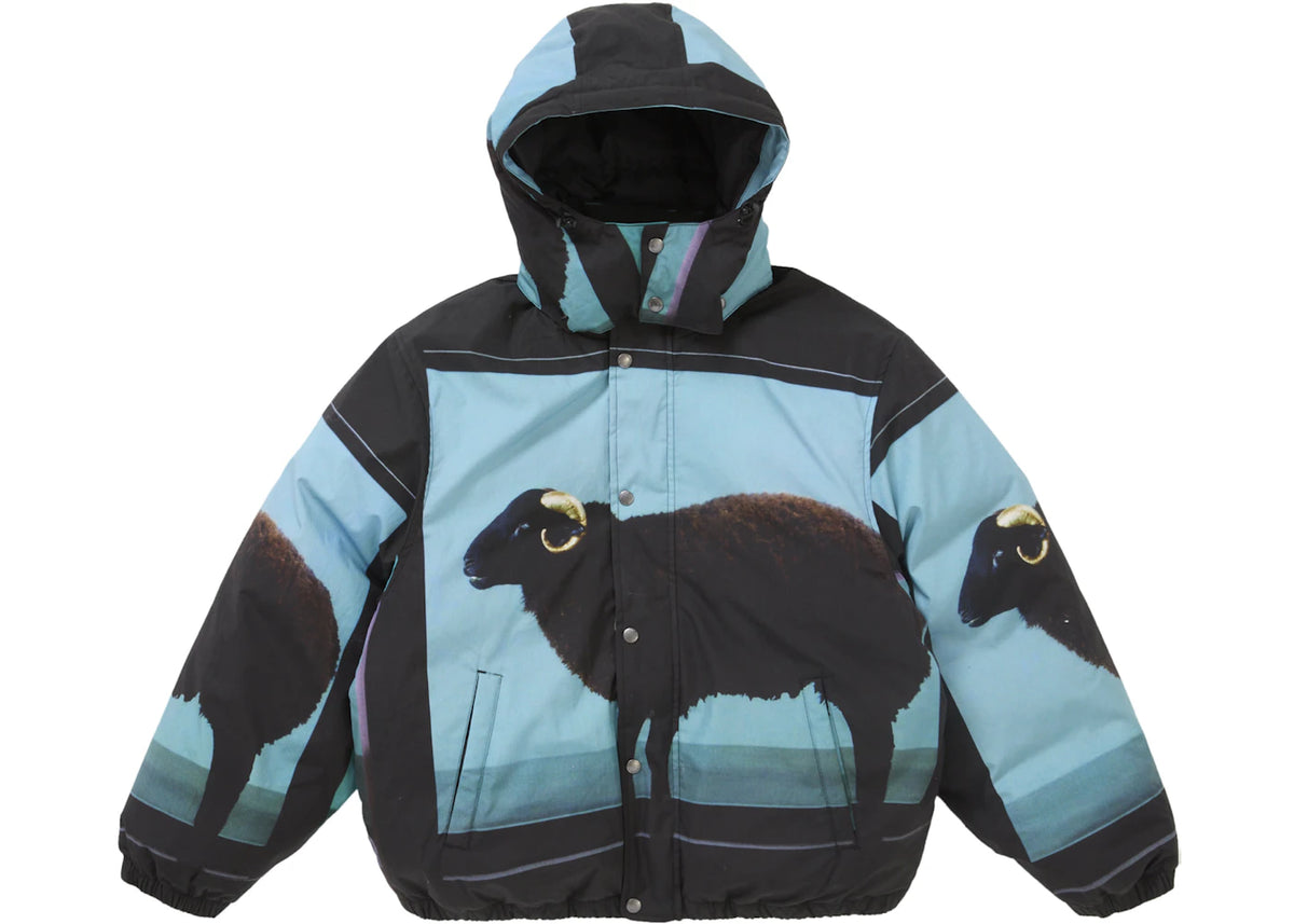 Supreme Damien Hirst Down Puffer Jacket Black New without tag