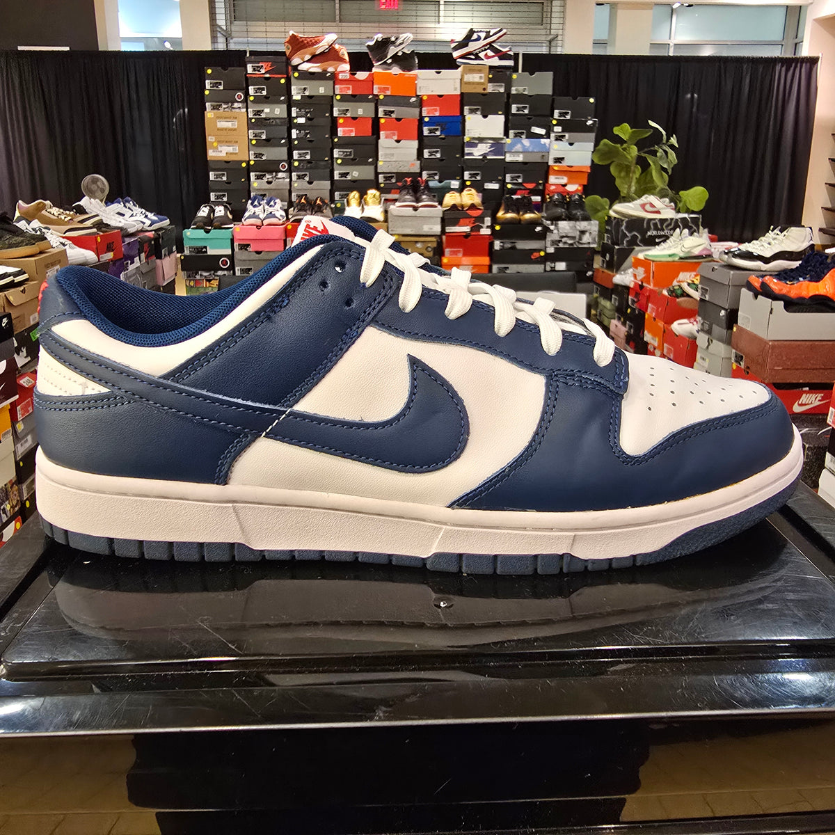 Nike Dunk Low Valerian Blue SZ 12 USED