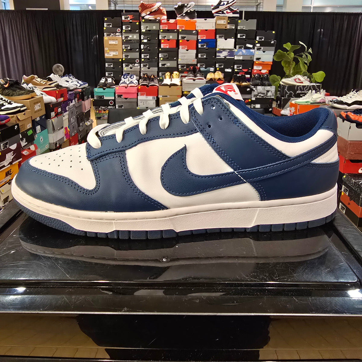 Nike Dunk Low Valerian Blue SZ 12 USED