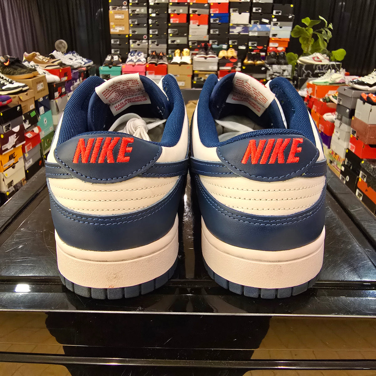 Nike Dunk Low Valerian Blue SZ 12 USED