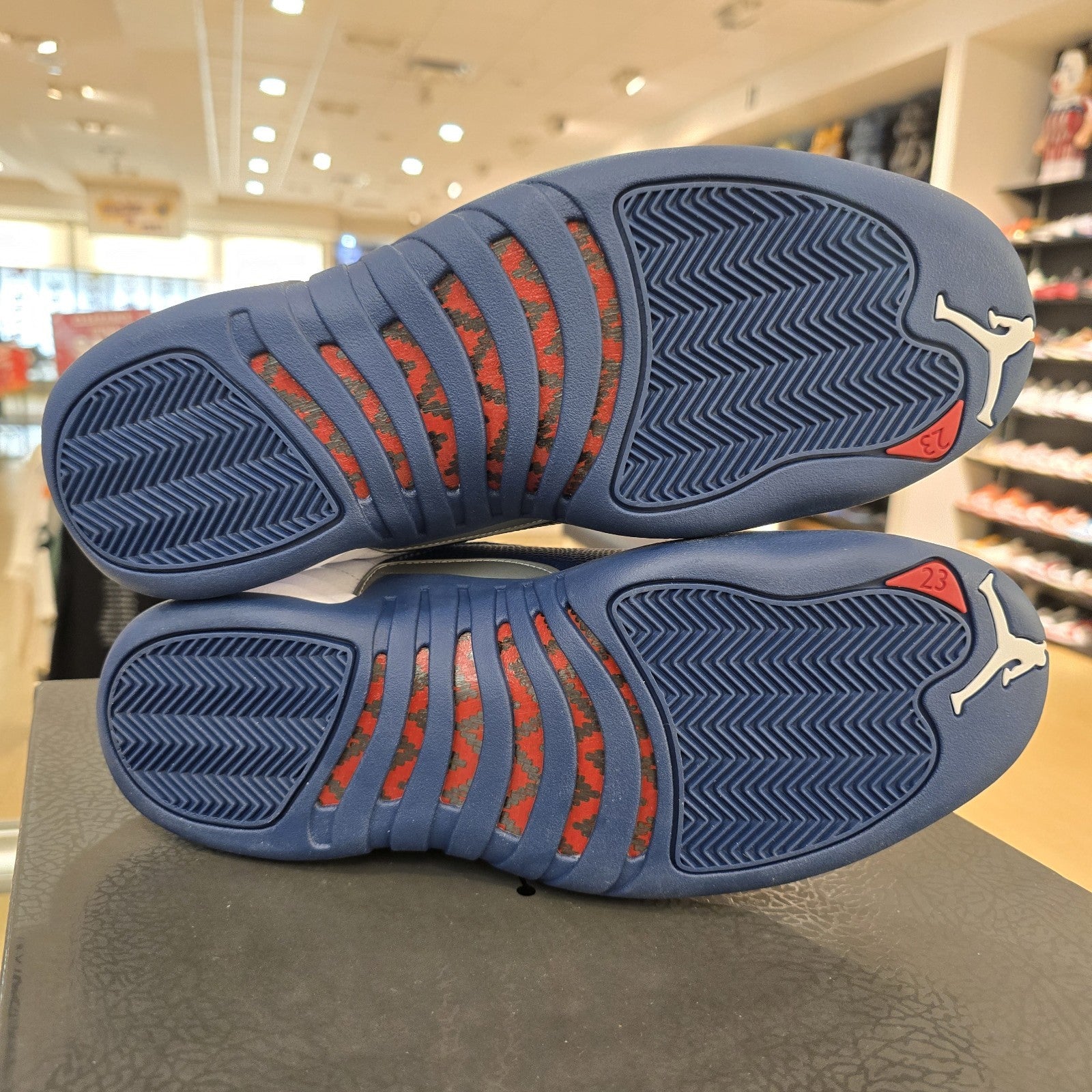 Size 11 - Air Jordan 12 Retro 2025 French Blue