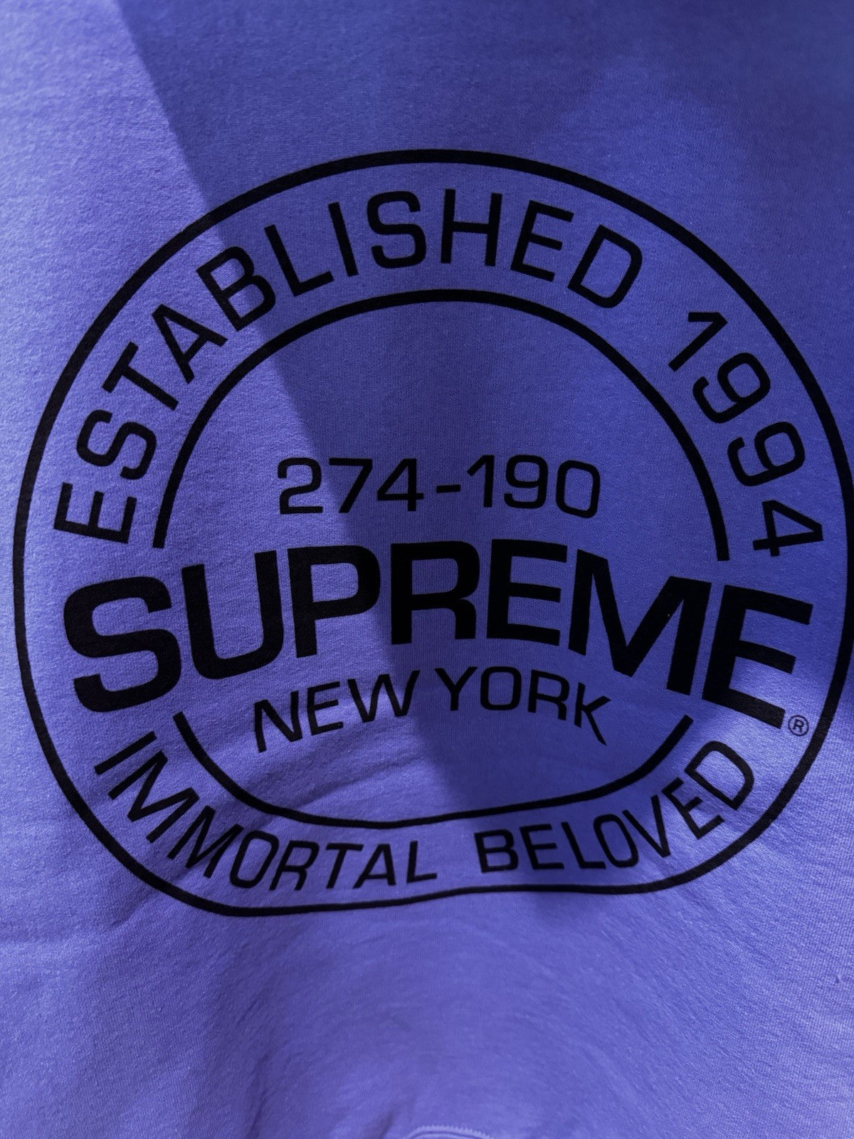 Supreme Immortal Hooded Sweatshirt Size M