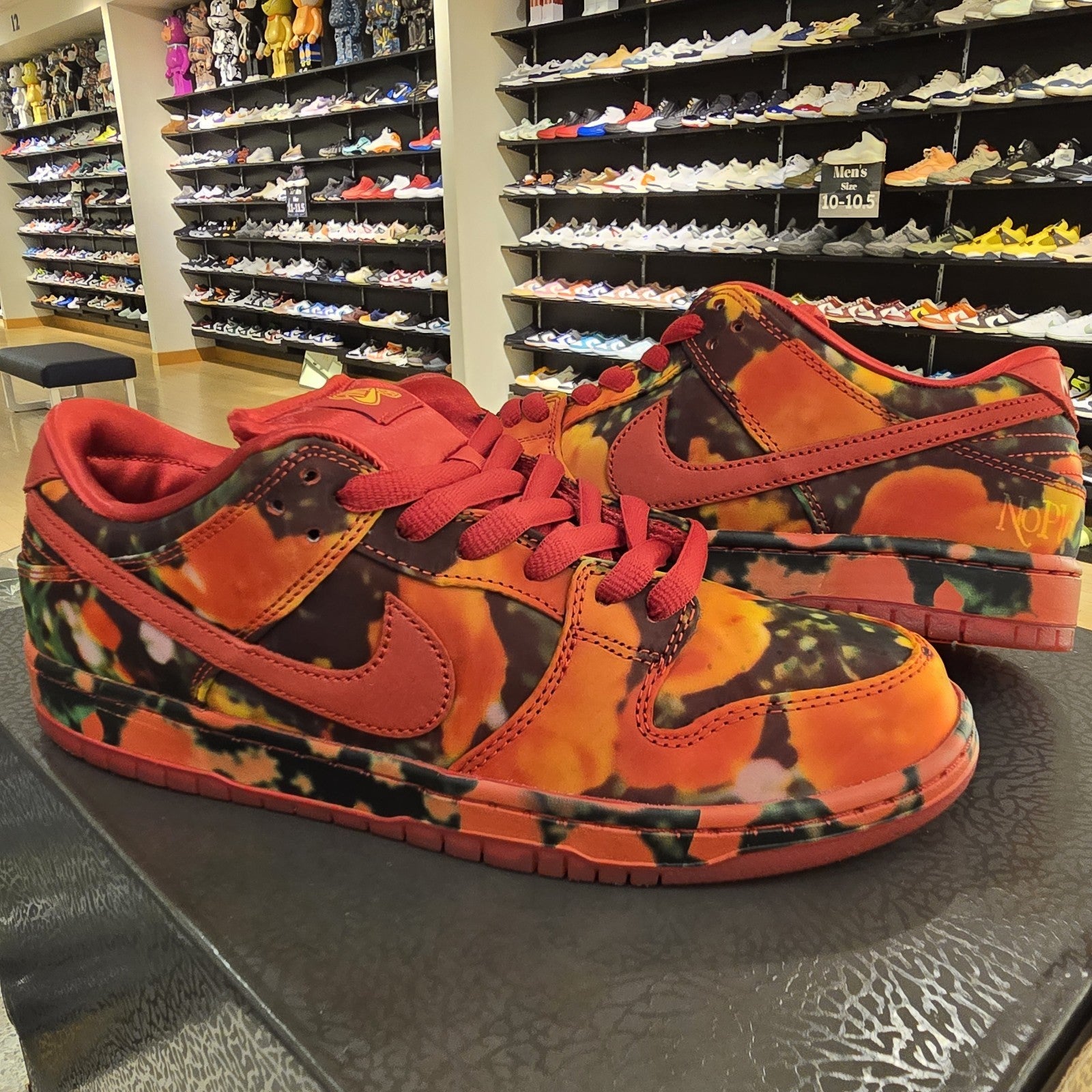 Size 9.5 - Nike The Wizard of Oz x Dunk SB Low Poppy Field