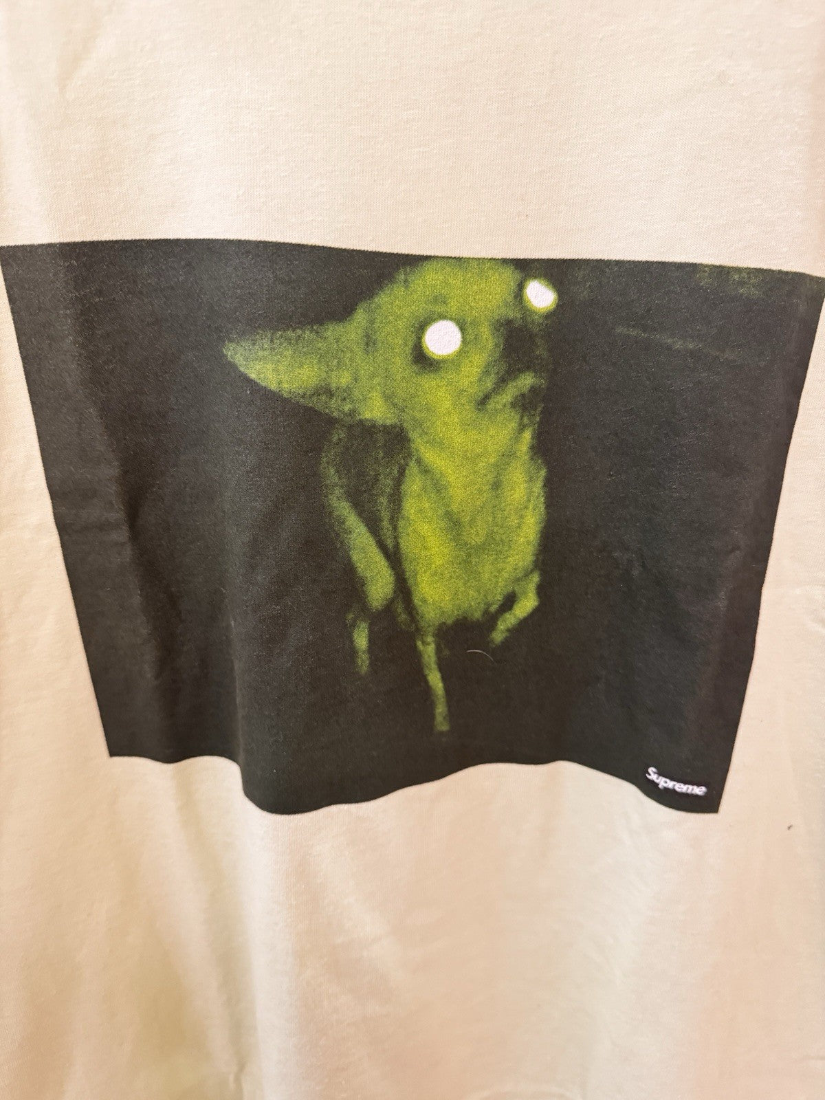 Supreme Chris Cunningham Chihuahua Tee Pale Mint Size L