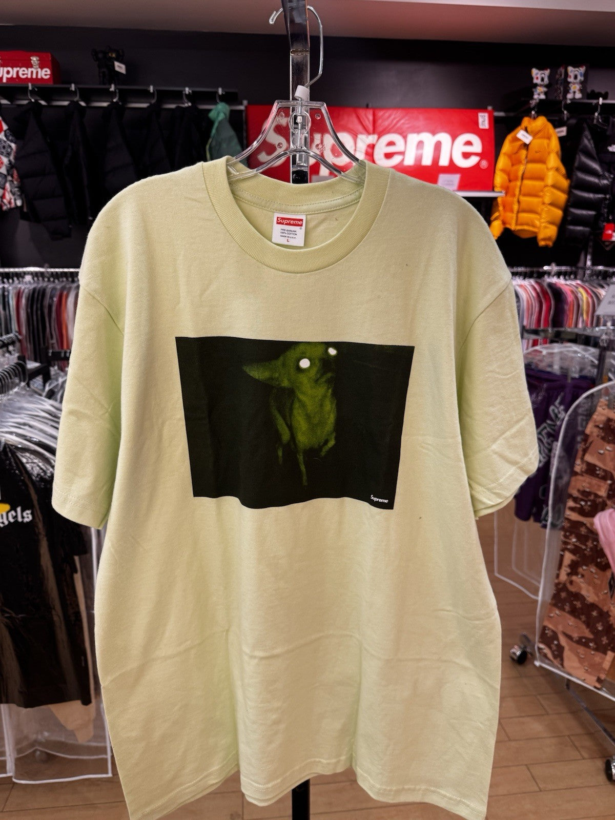 Supreme Chris Cunningham Chihuahua Tee Pale Mint Size L