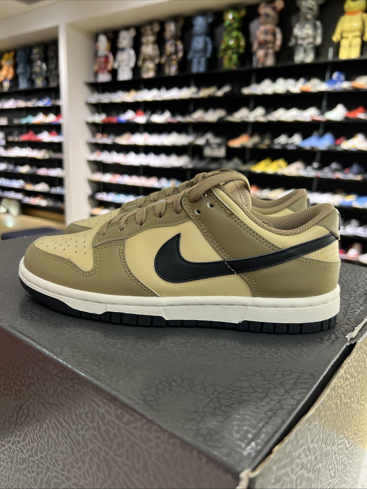 NIKE DUNK LOW DARK DRIFTWOOD BROWN-BLACK-SESAME-SAIL
