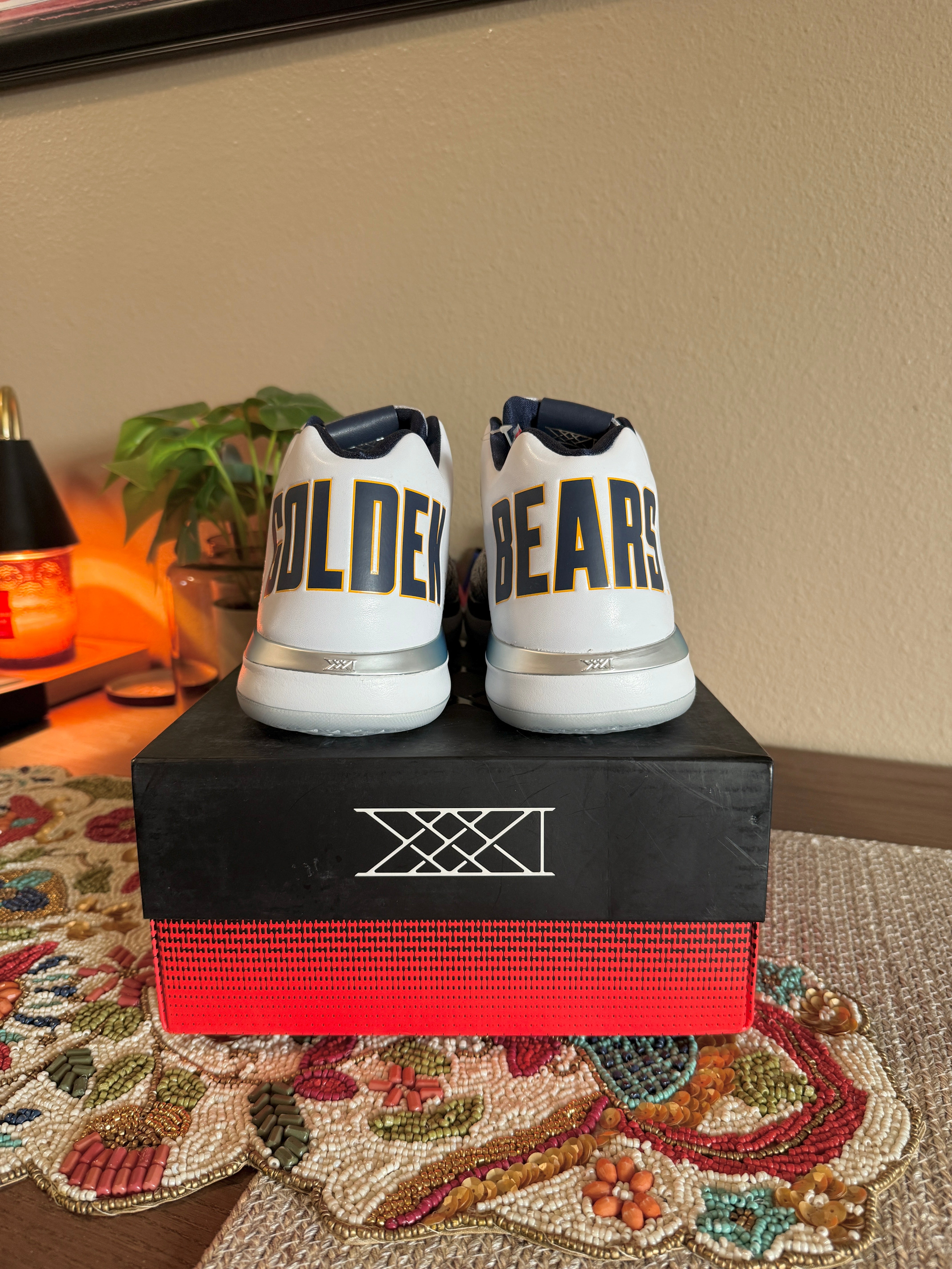 Jordan XXX1 Low California Bears Size 11.5