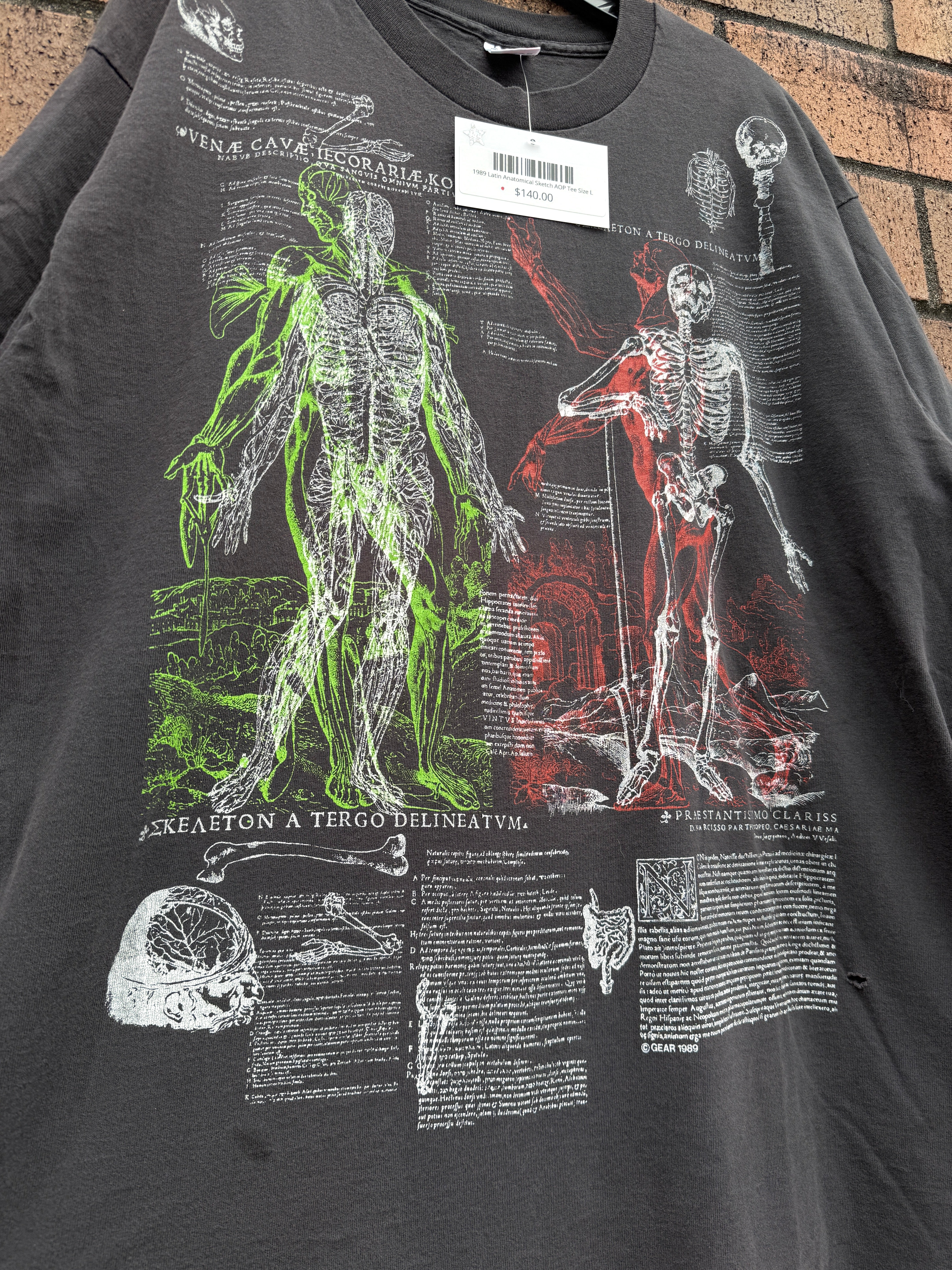 1989 Latin Anatomical Sketch AOP Tee Size L