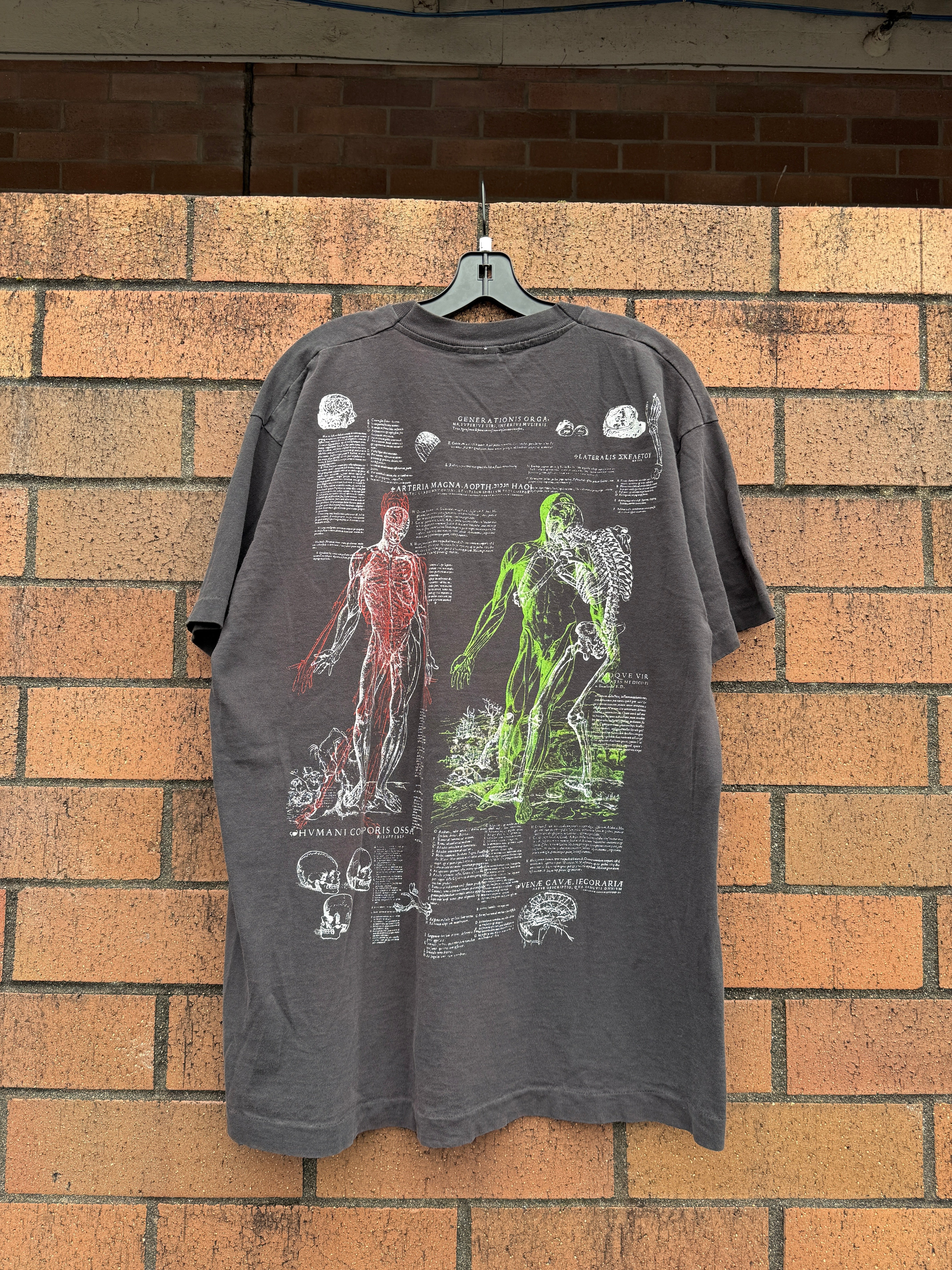 1989 Latin Anatomical Sketch AOP Tee Size L