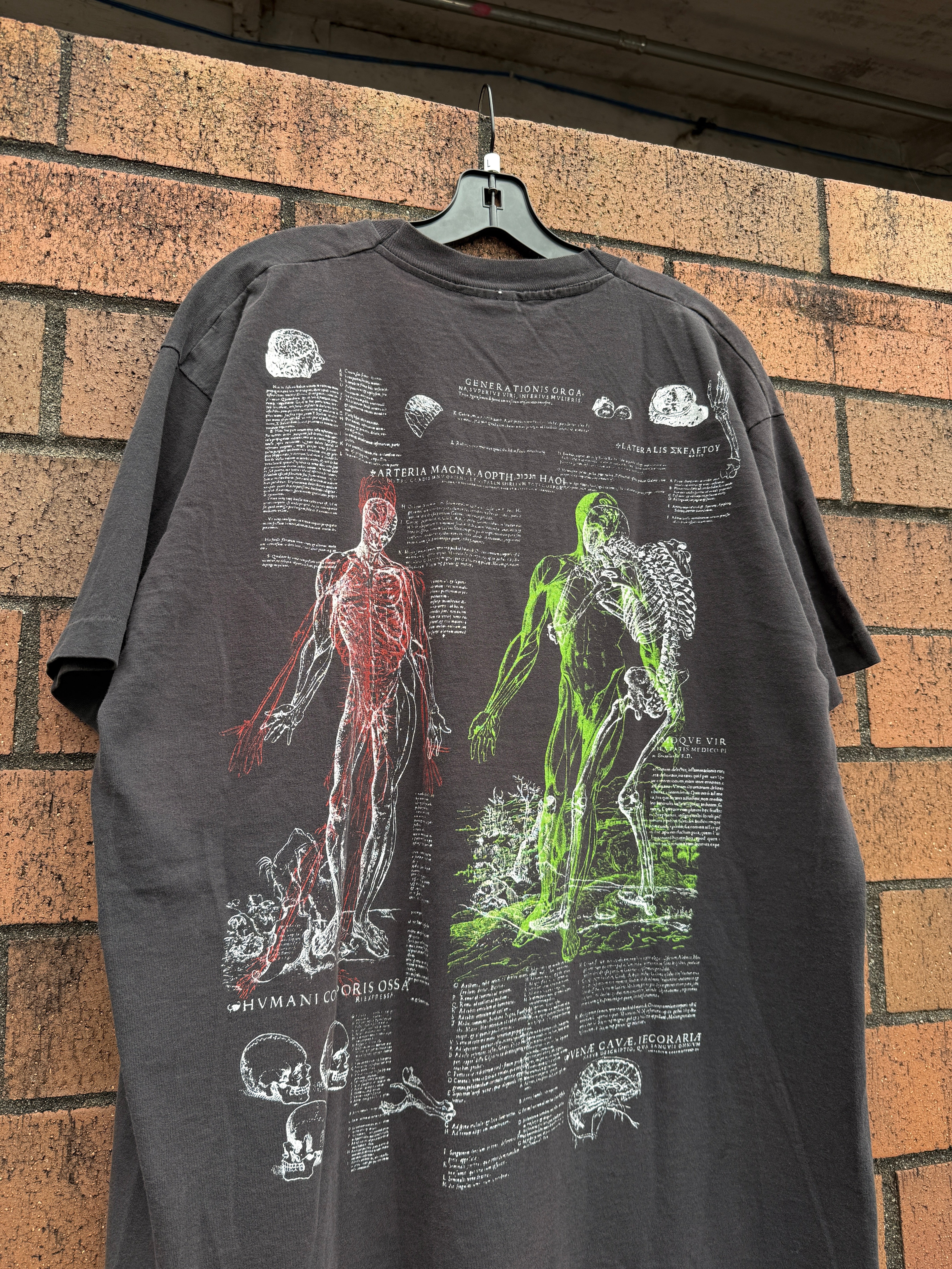 1989 Latin Anatomical Sketch AOP Tee Size L