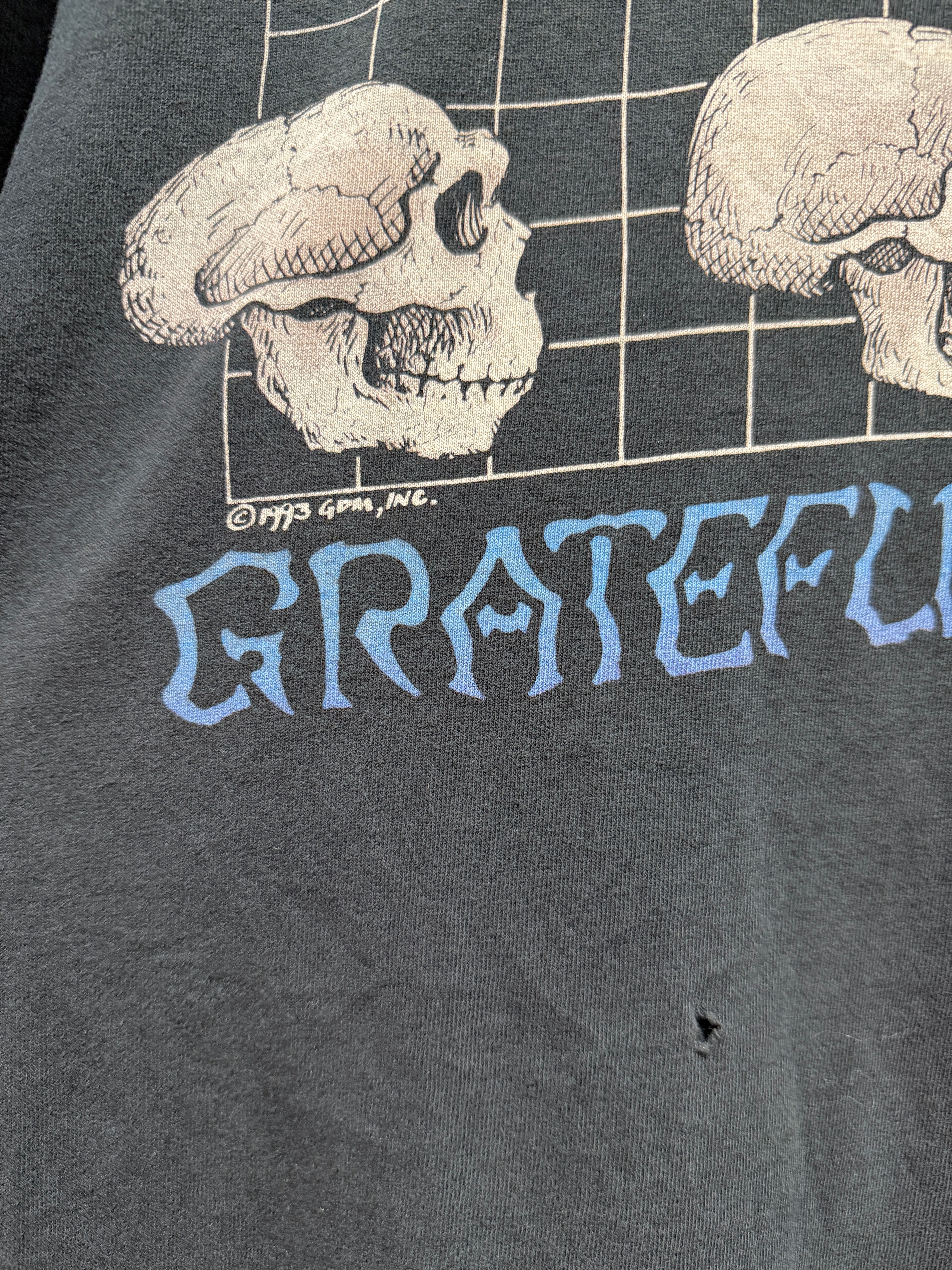 1993 Grateful Dead Evolution Long Sleeve Tee Sz XL