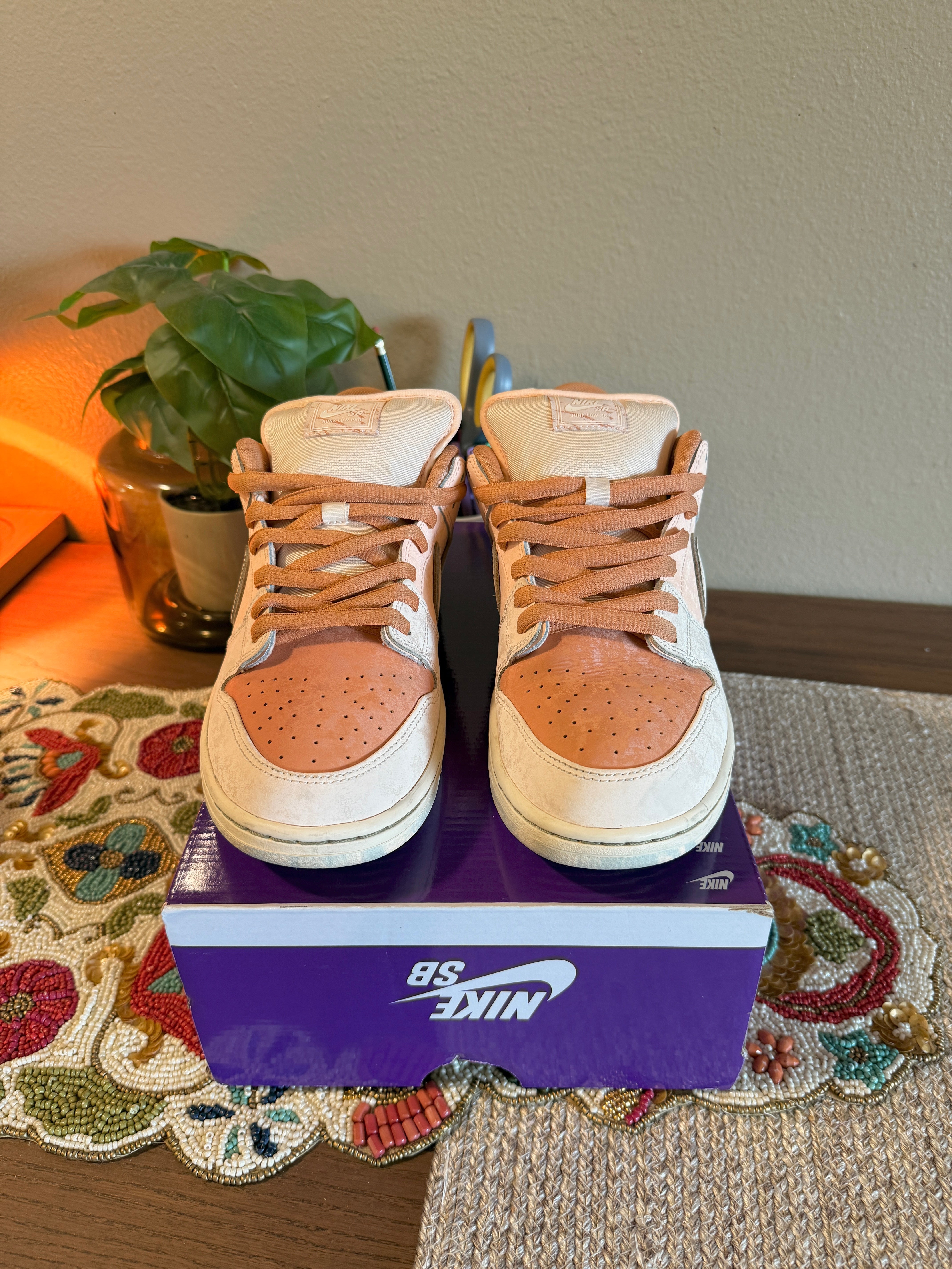 Nike SB Dunk Low Trocadero Gardens Size 10.5 USED / MISSING LID