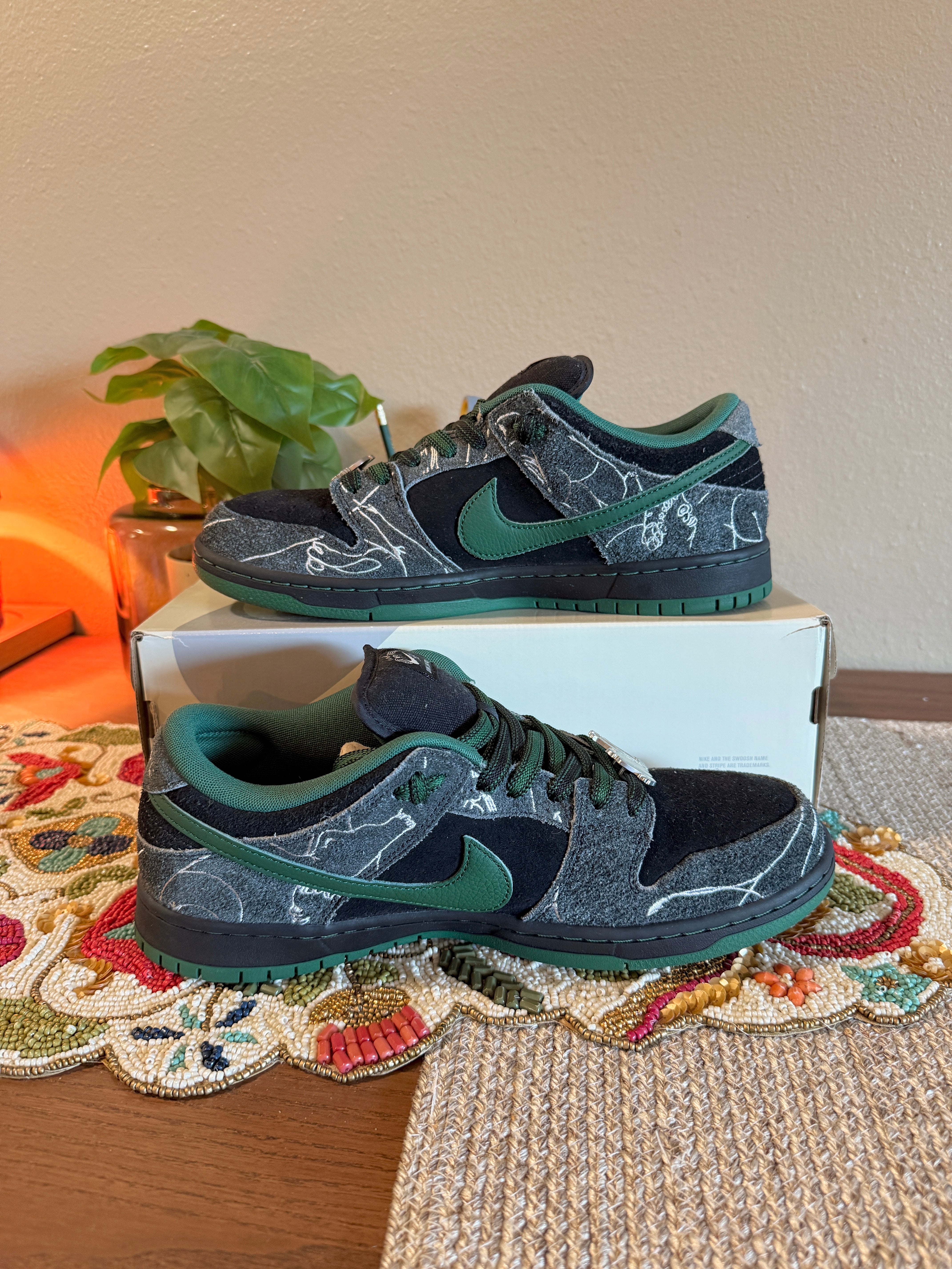 Nike SB Dunk Low There Skateboards Size 11 USED