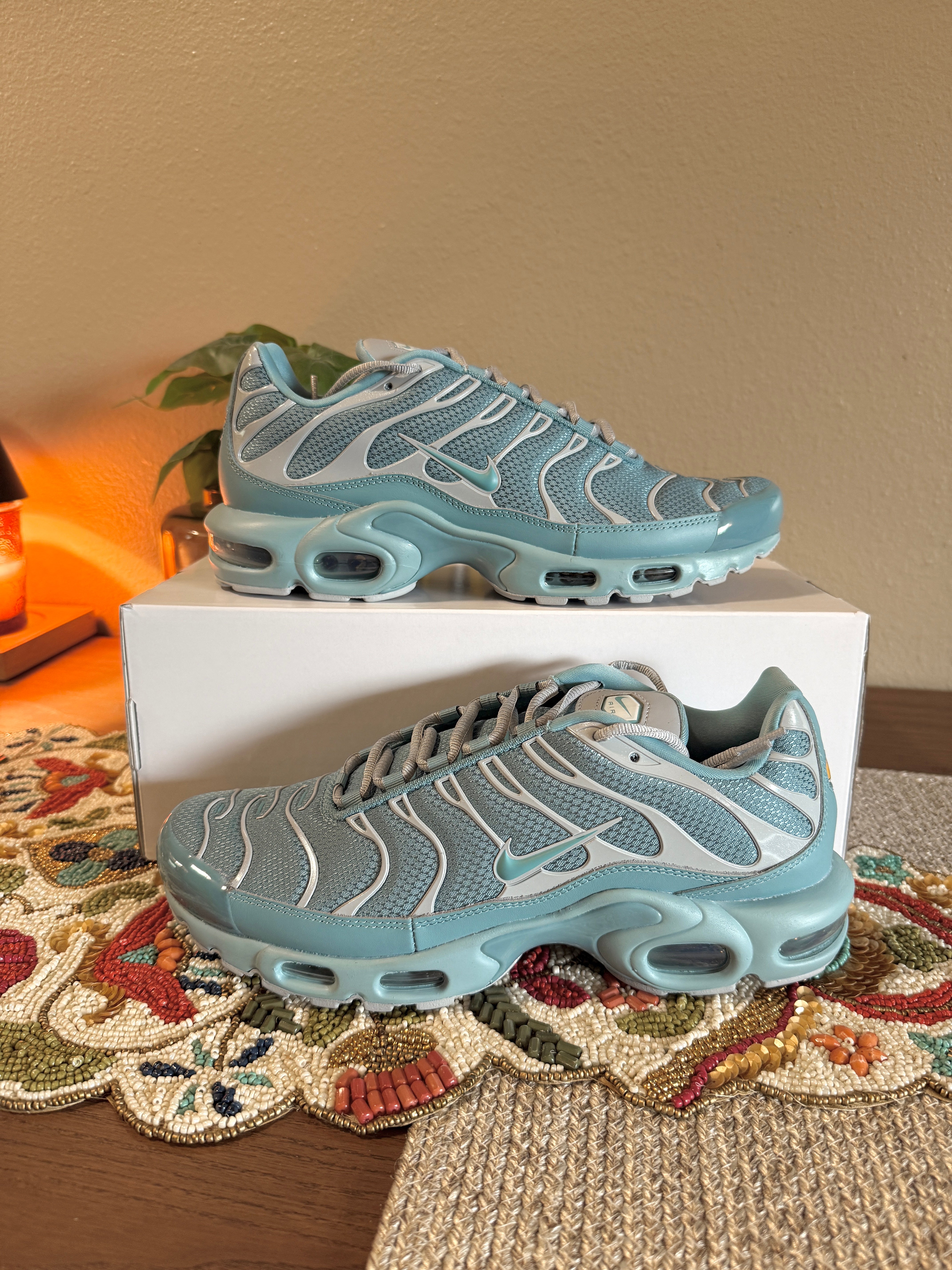 Nike ID By You Air Max Plus Igloo Size 9.5 Men's MISSING LID