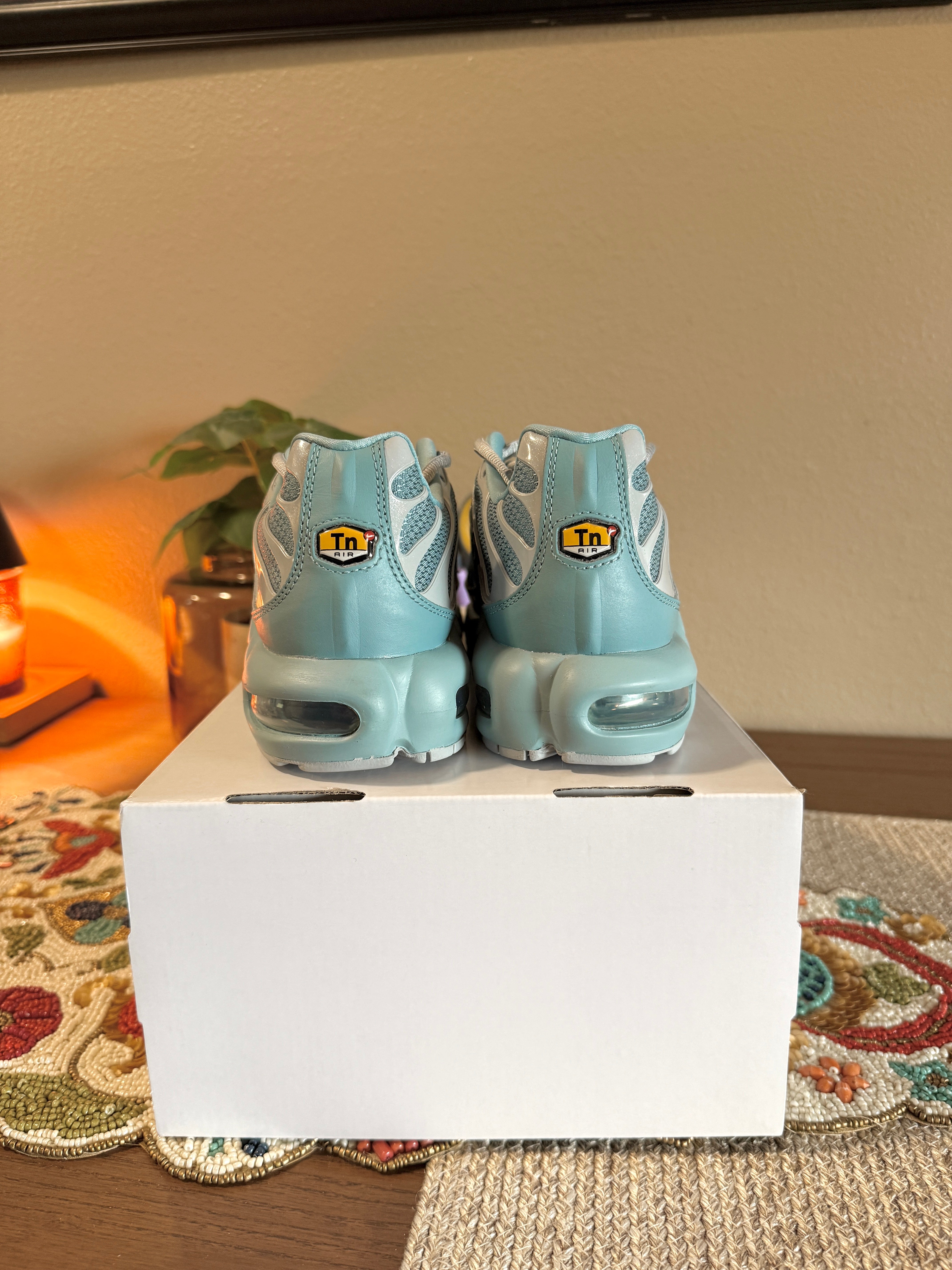 Nike ID By You Air Max Plus Igloo Size 9.5 Men's MISSING LID