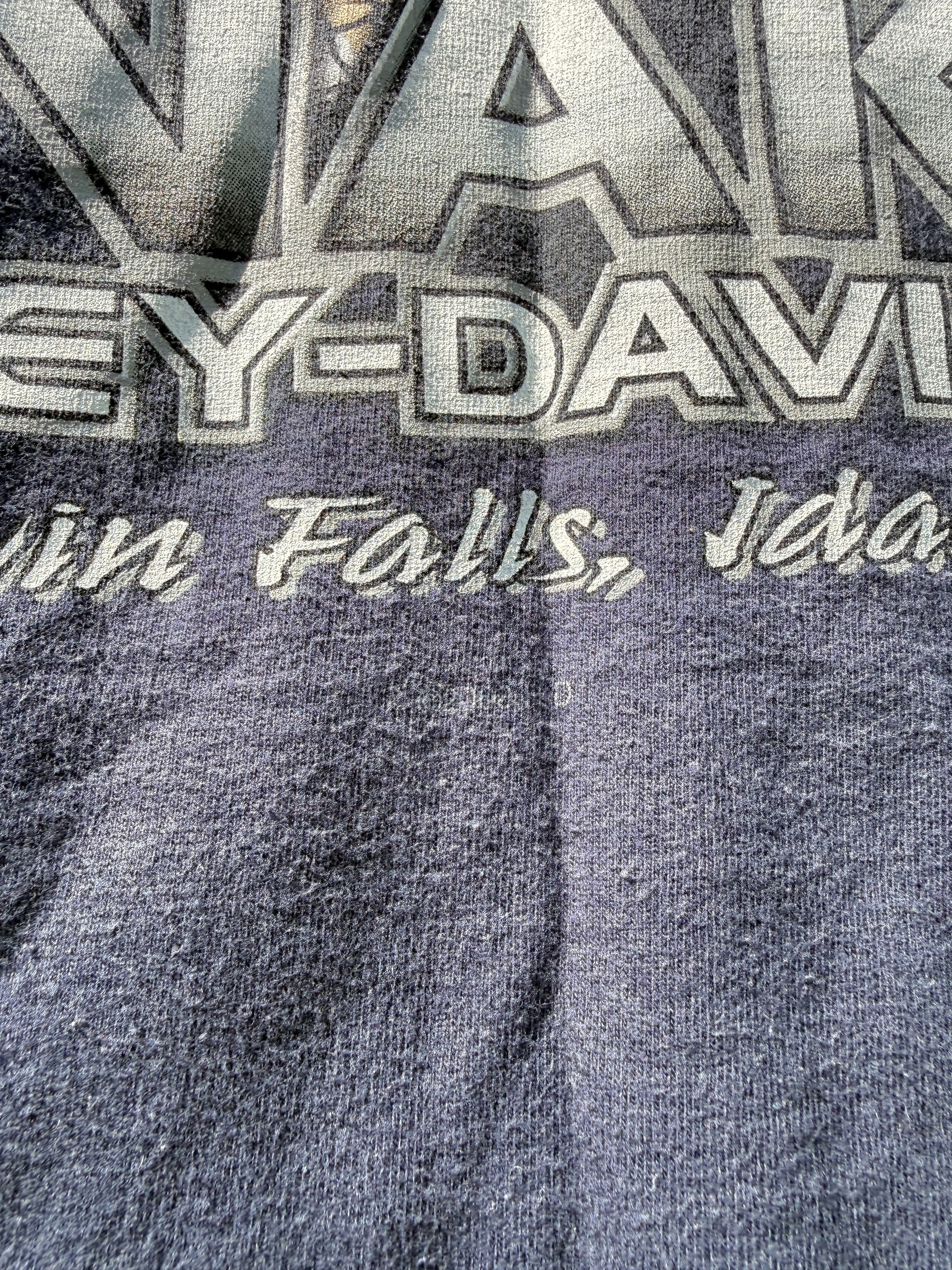 2000 Harley Davidson Snake Idaho Pocket Tee Size XL
