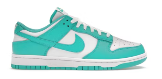 Nike Dunk Low Clear Jade SZ 10 USED