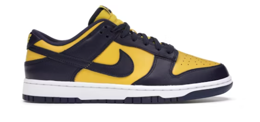 Nike Dunk Low Michigan (2021) SZ 11 USED