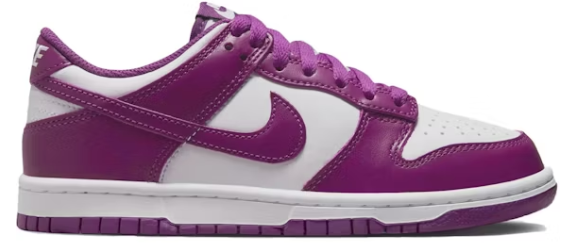 Nike Dunk Low Viotech (GS) SZ 7Y