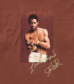 Supreme Al Green Tee Brown Sz XL