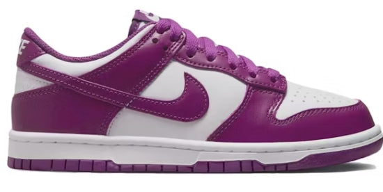 Nike Dunk Low Viotech (GS) SZ 6Y (NO LID)