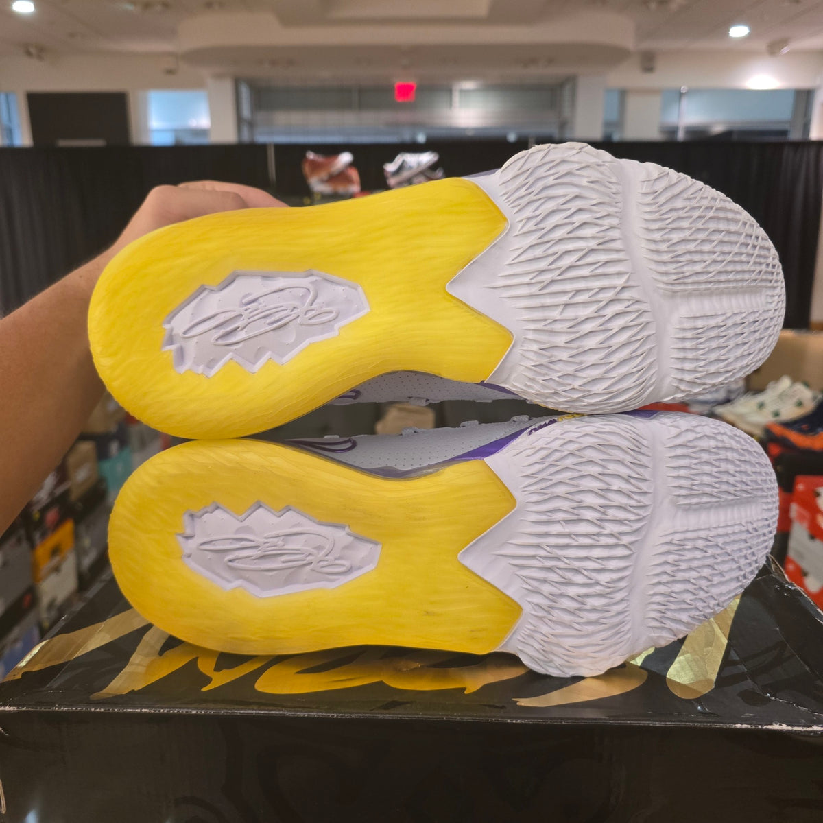 Nike LeBron 17 Low Lakers USED