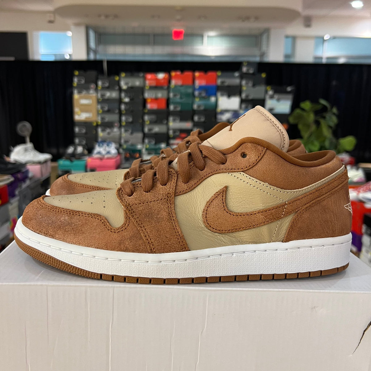 Jordan 1 Low SE Legend Coffee (Women's) used