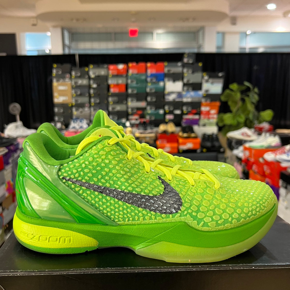 Nike Kobe 6 Protro Grinch (2020) used
