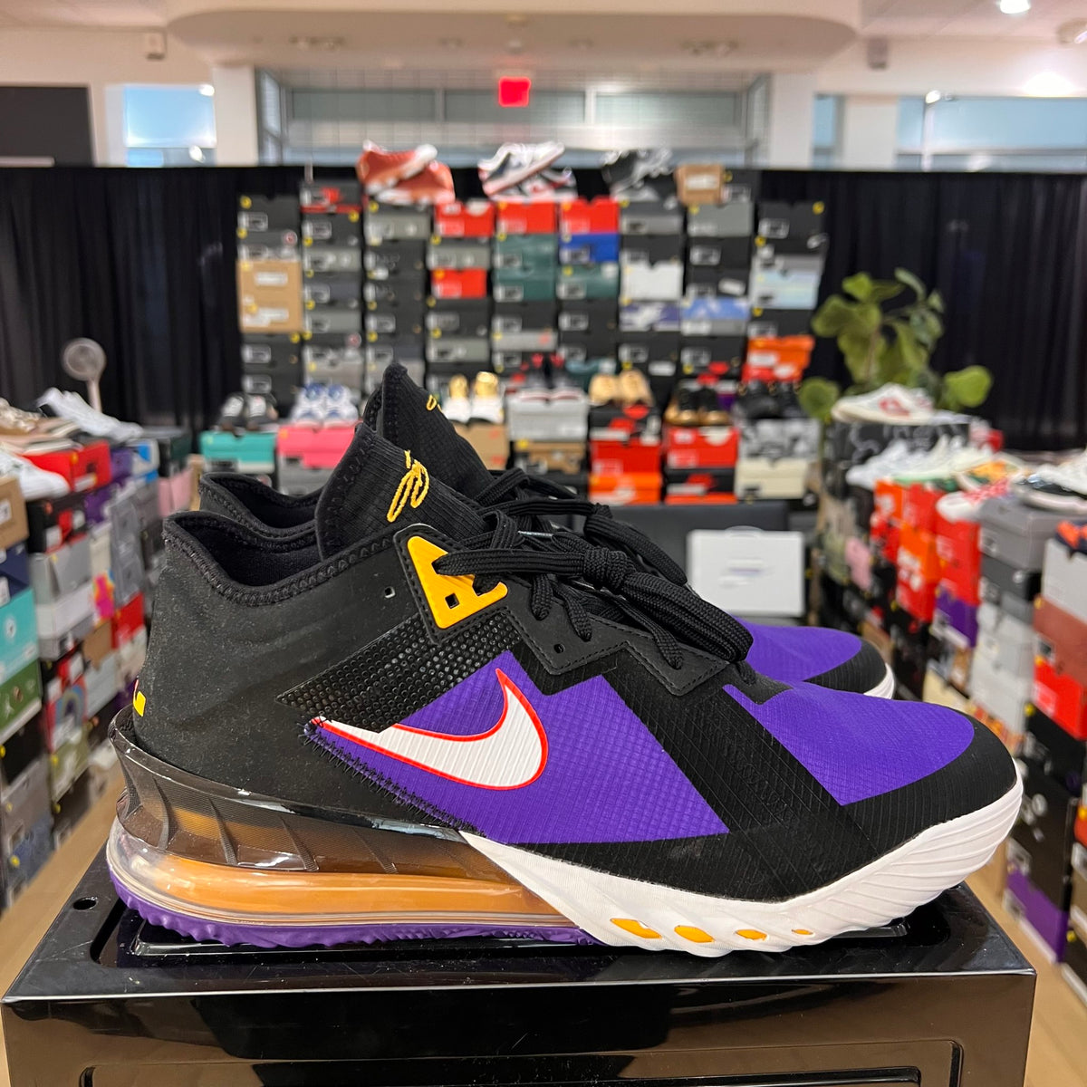 Nike LeBron 18 Low ACG Terra No box