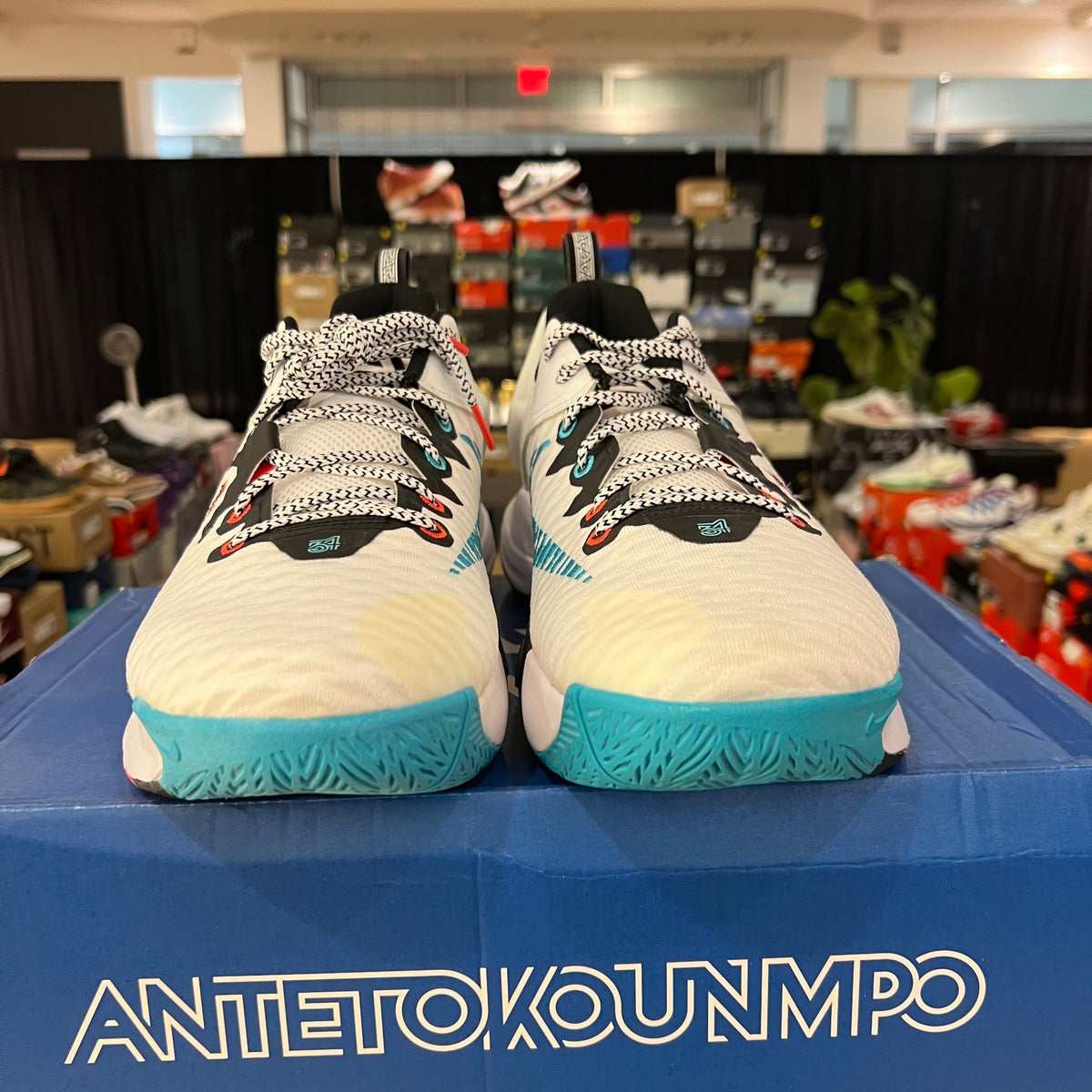 Nike Giannis Immortality Aqua Fresh used