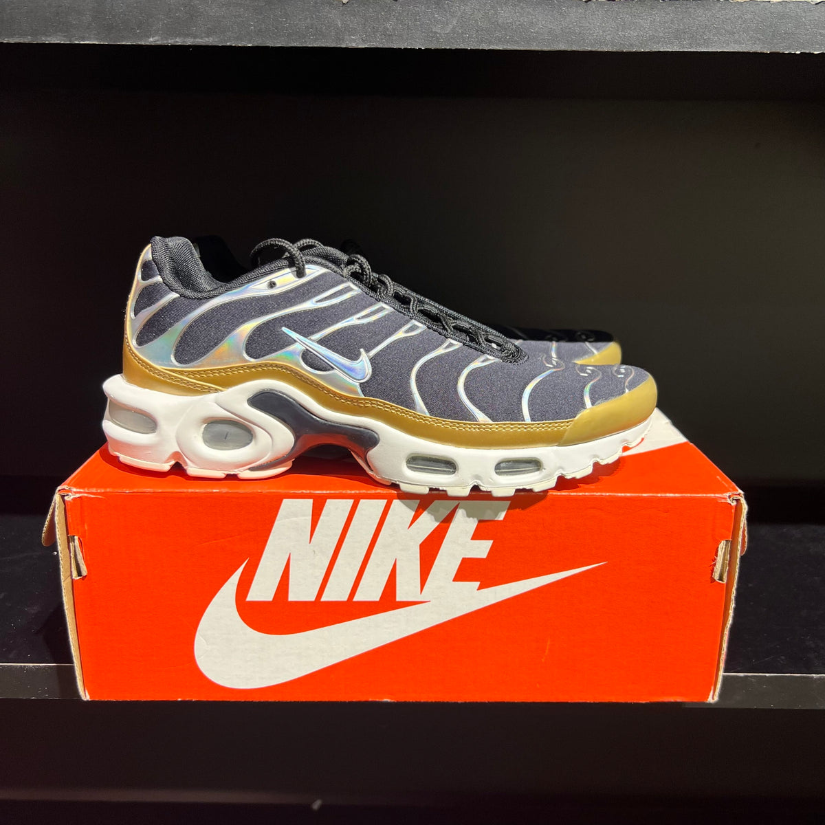 Nike Air Max Plus Black Aluminum (Women's) used
