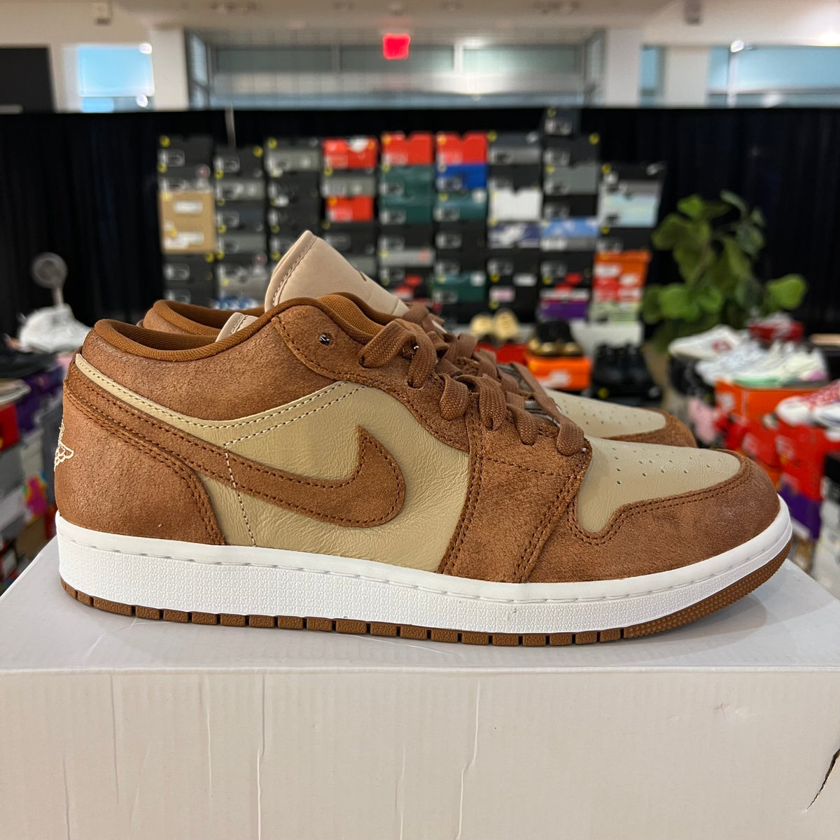 Jordan 1 Low SE Legend Coffee (Women's) used