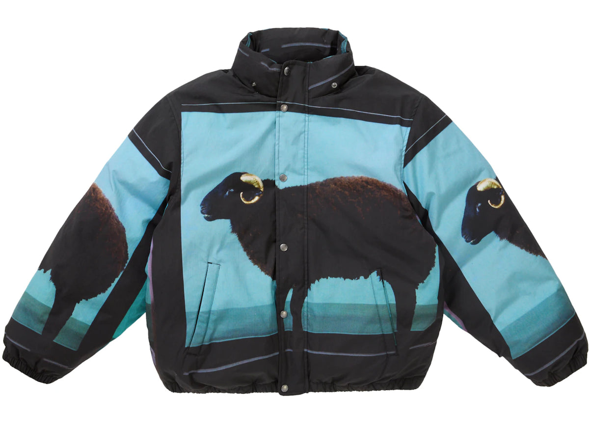 Supreme Damien Hirst Down Puffer Jacket Black New without tag