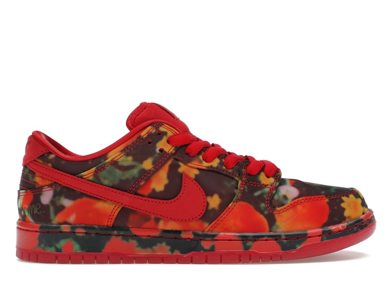 Nike SB Dunk Low The Wizard of Oz Poppy Field SZ 10 MISSING LID