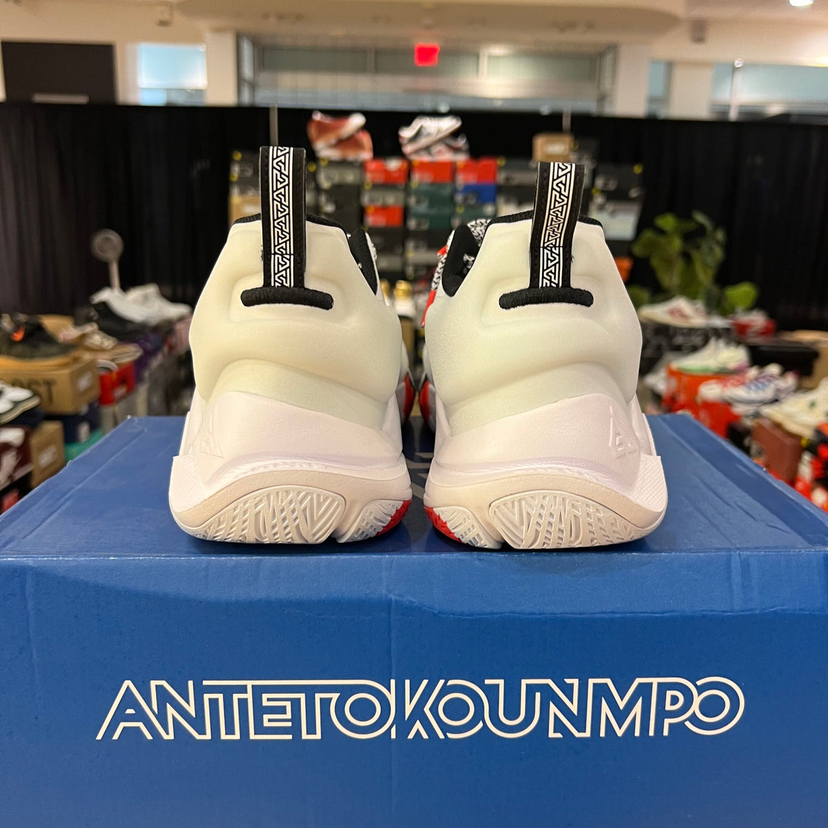 Nike Giannis Immortality Aqua Fresh used